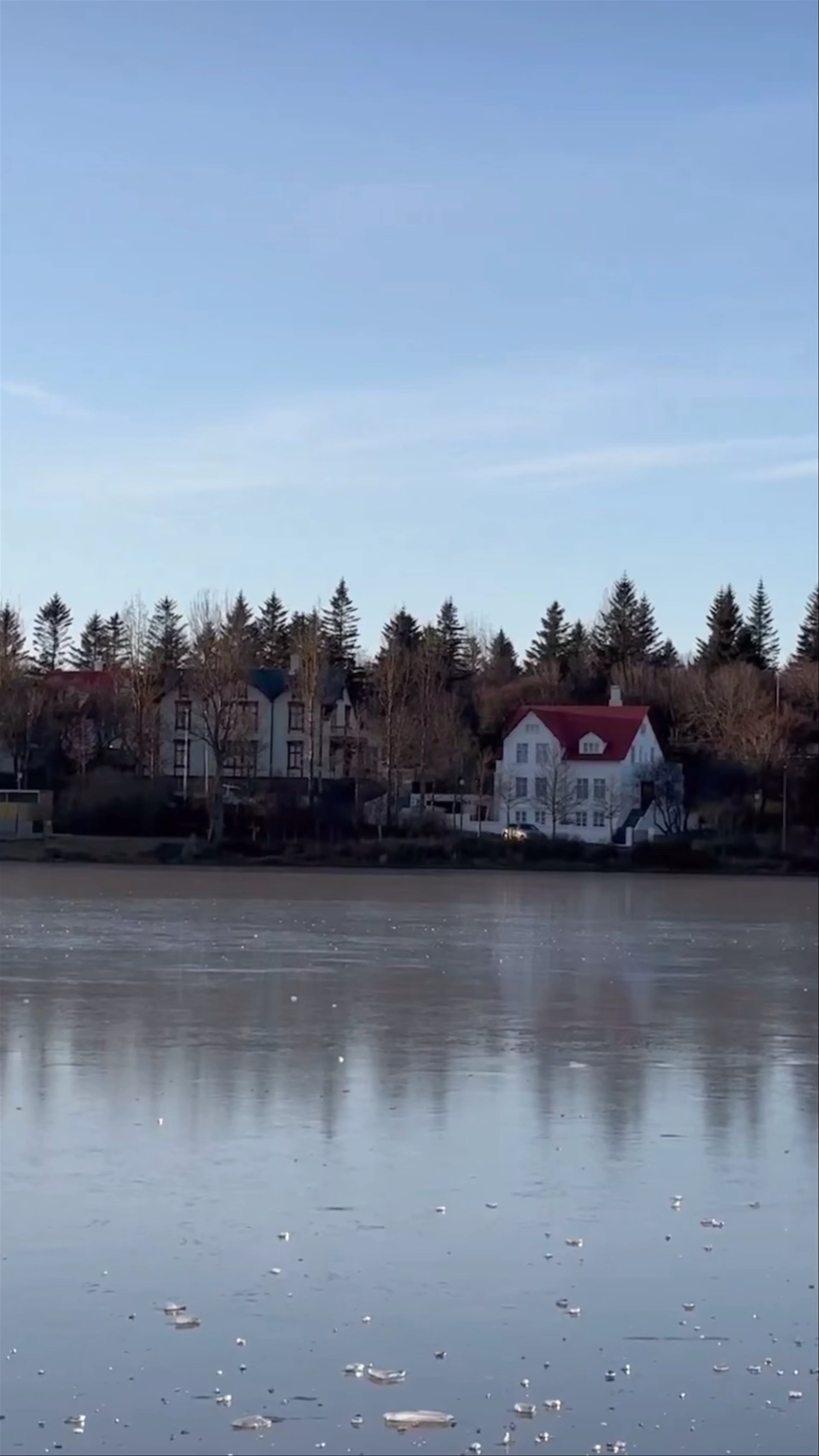 Tjörnin, Reykjavík, Iceland