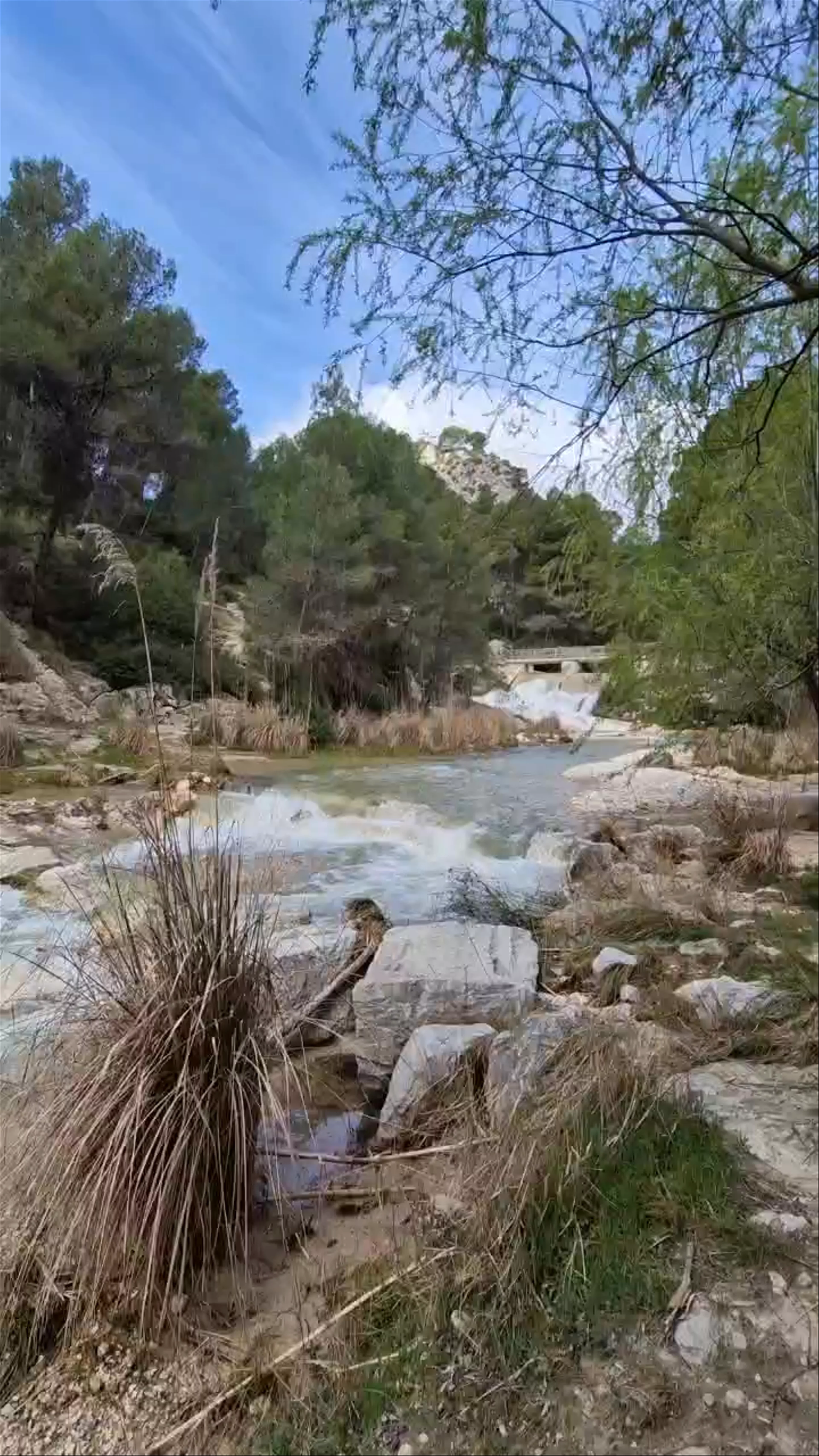 Camping La Puerta