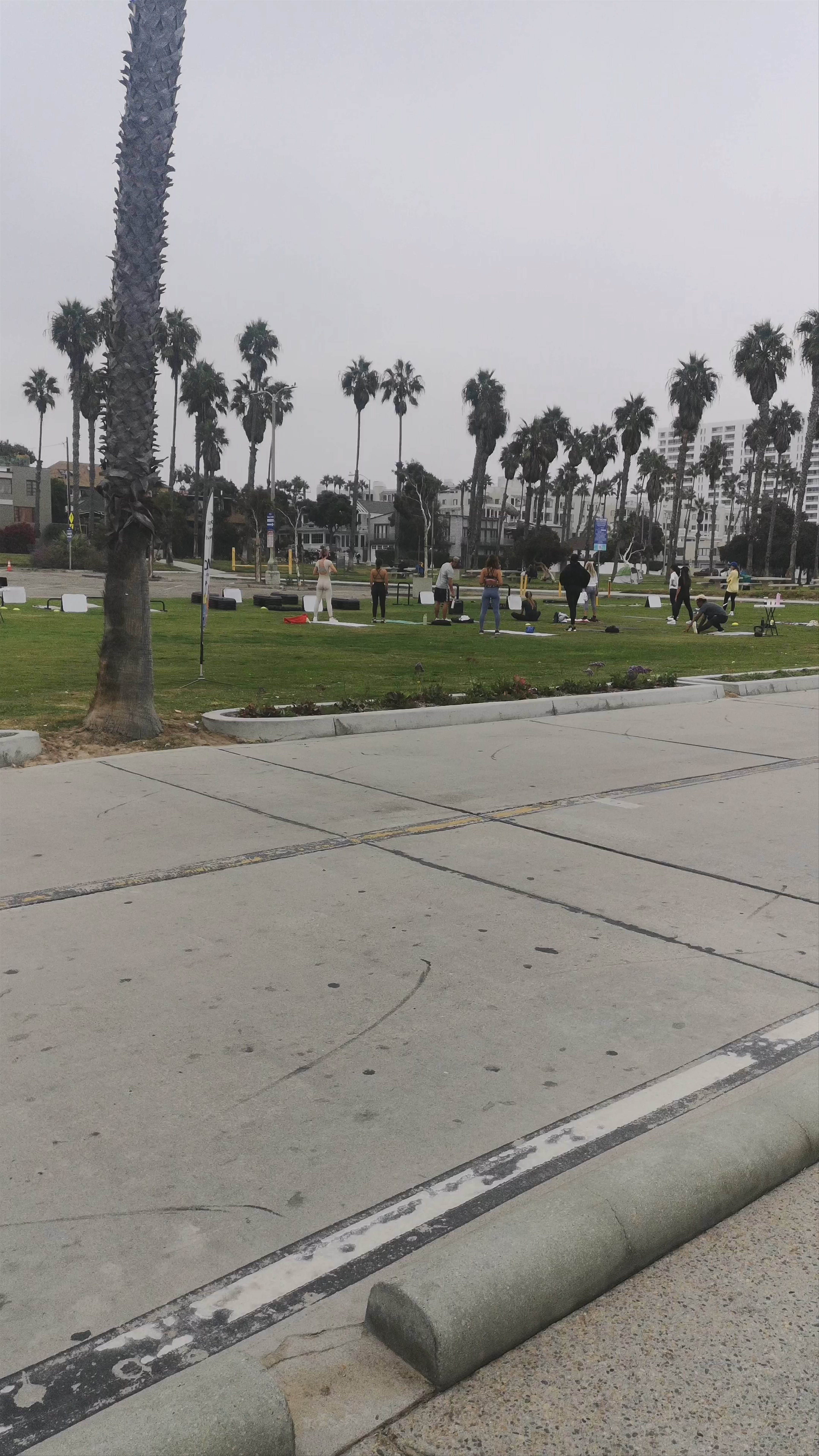 Ocean View Park & Beachside Vibes in Santa Monica, California
