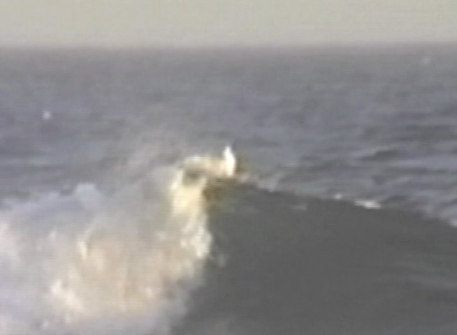 A surfer maneuvers along the crest of an ocean wave near a coastal pier. The sequence captures the dynamic interaction between the surfer and the breaking surf.