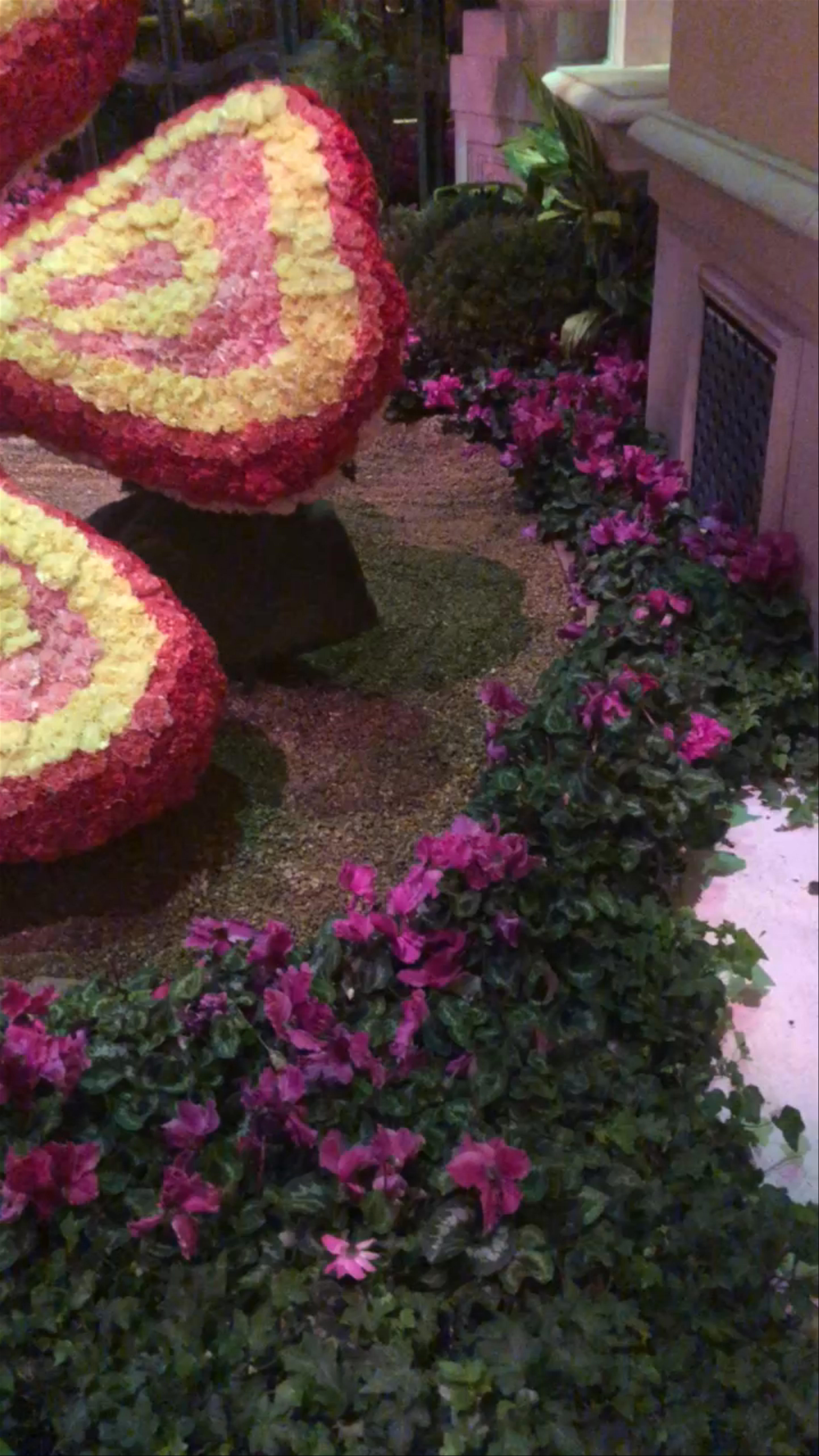 Bellagio Conservatory & Botanical Gardens Floral Fantasy in Las Vegas