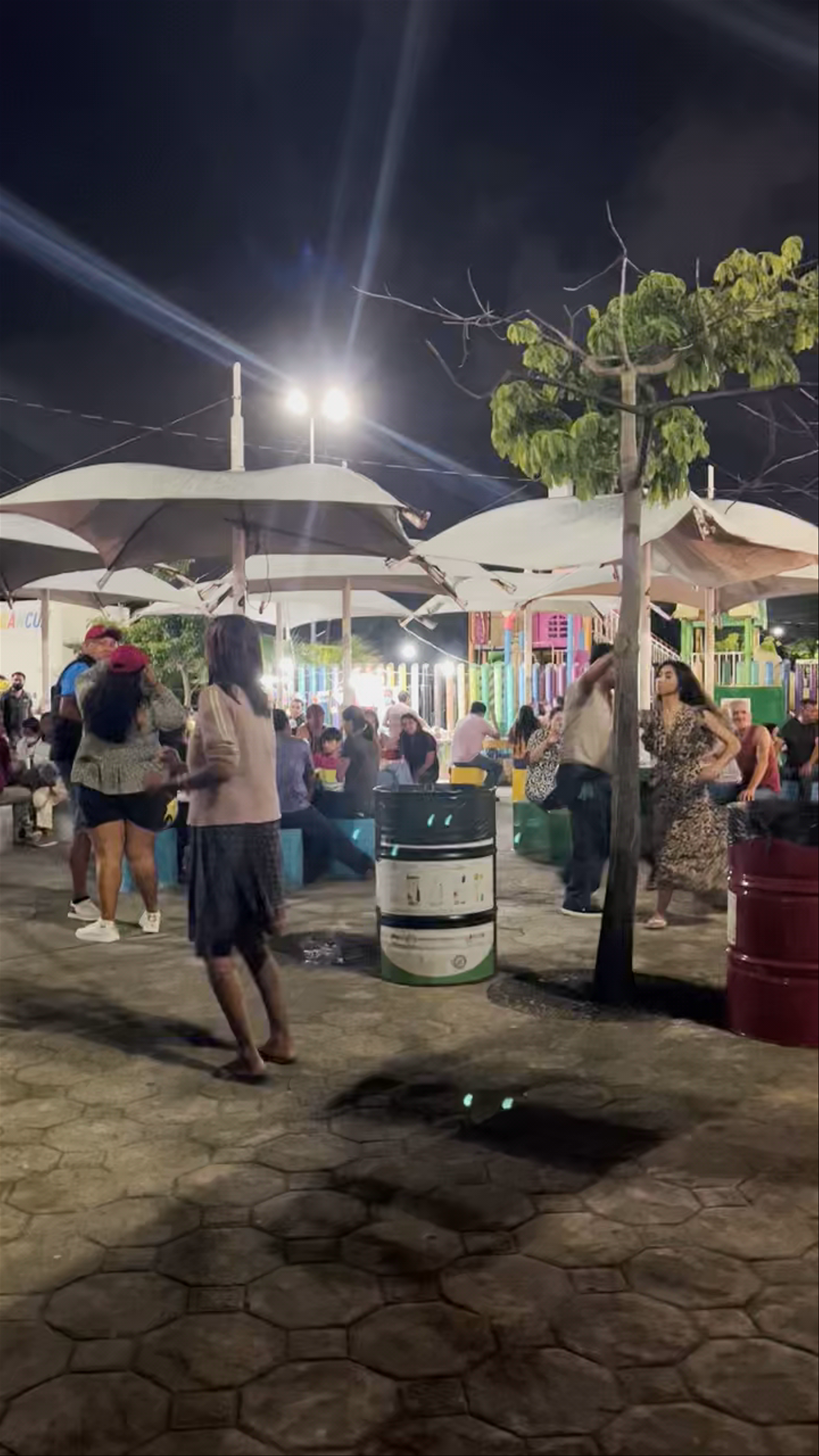 Parque de las Palapas