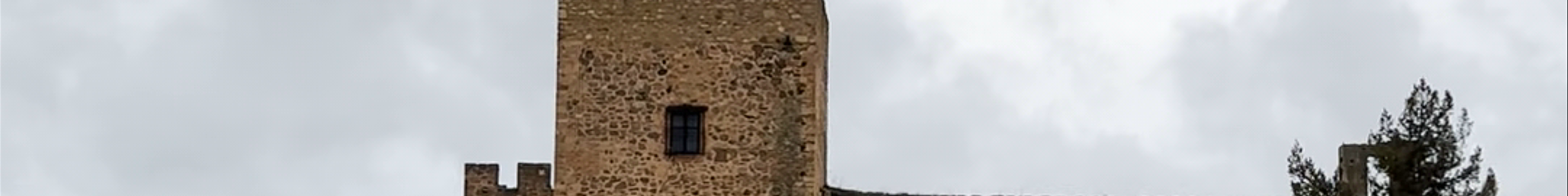 Tours & experiences in Pedraza