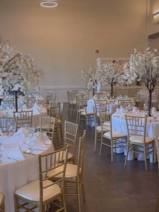 Bayglamour Events - Cherry blossom tree rental for a cooperate event - Party Equipment Rentals Near Me