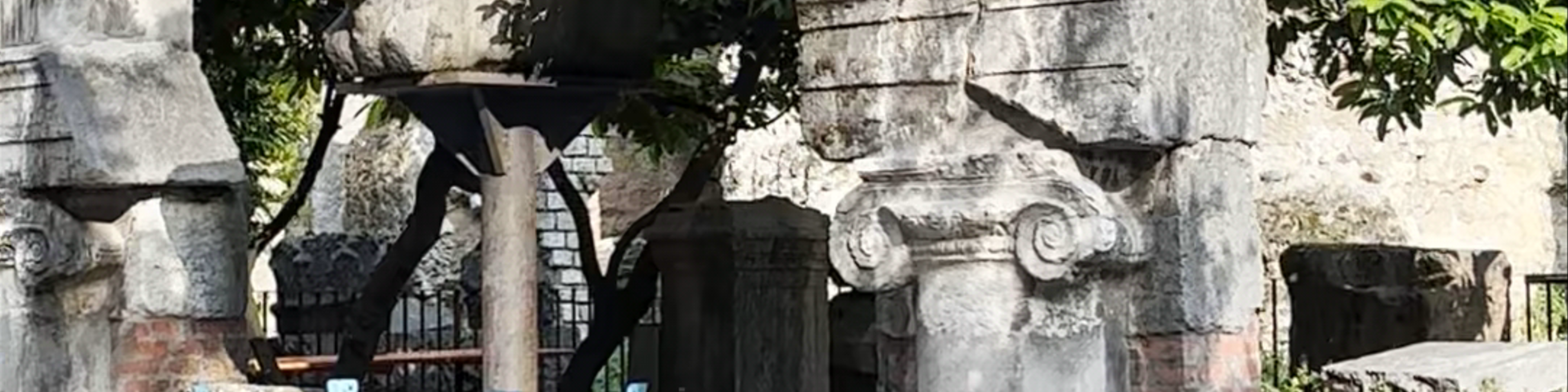 Verona