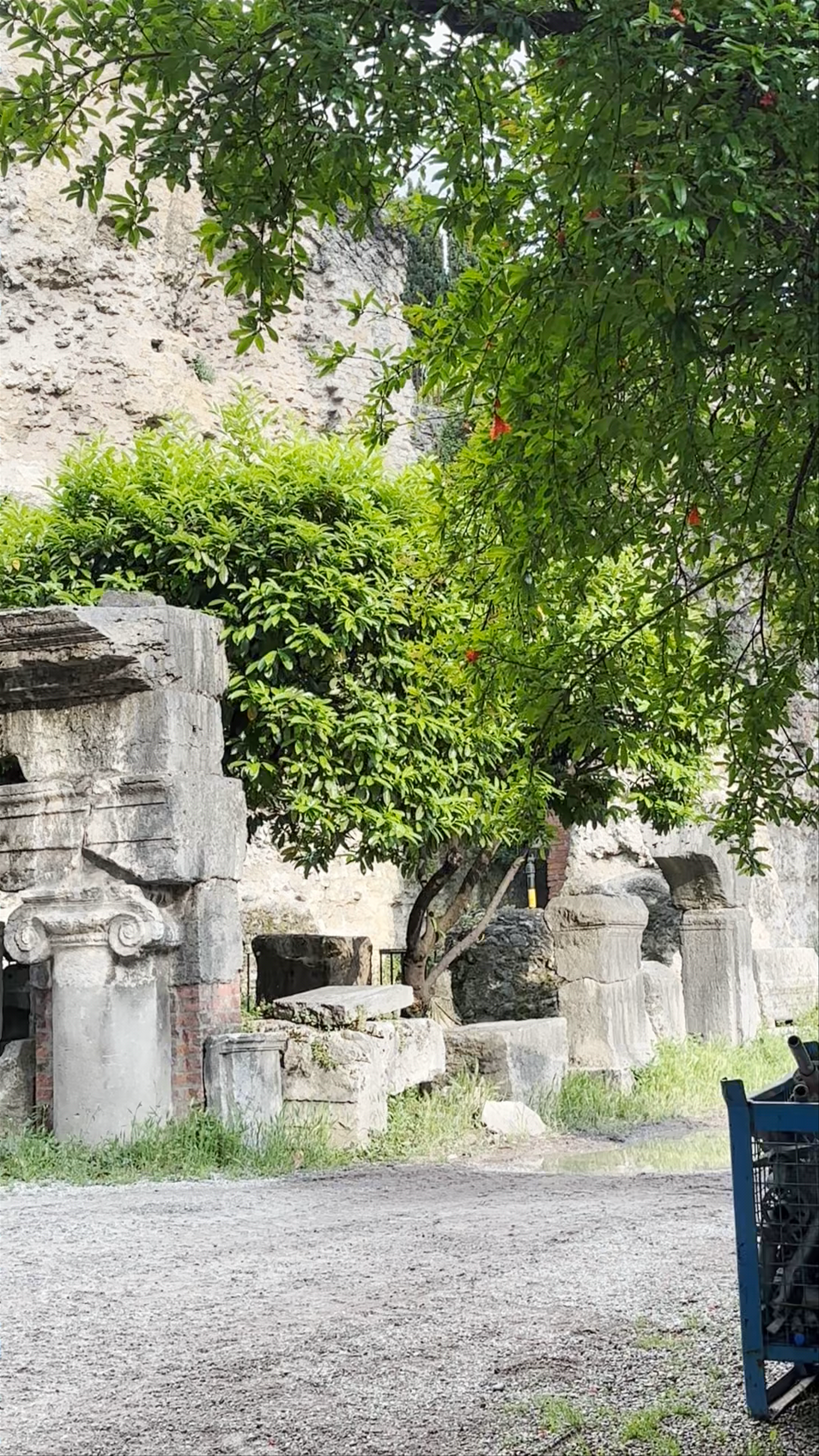 Teatro Romano Verona: Step into Ancient History