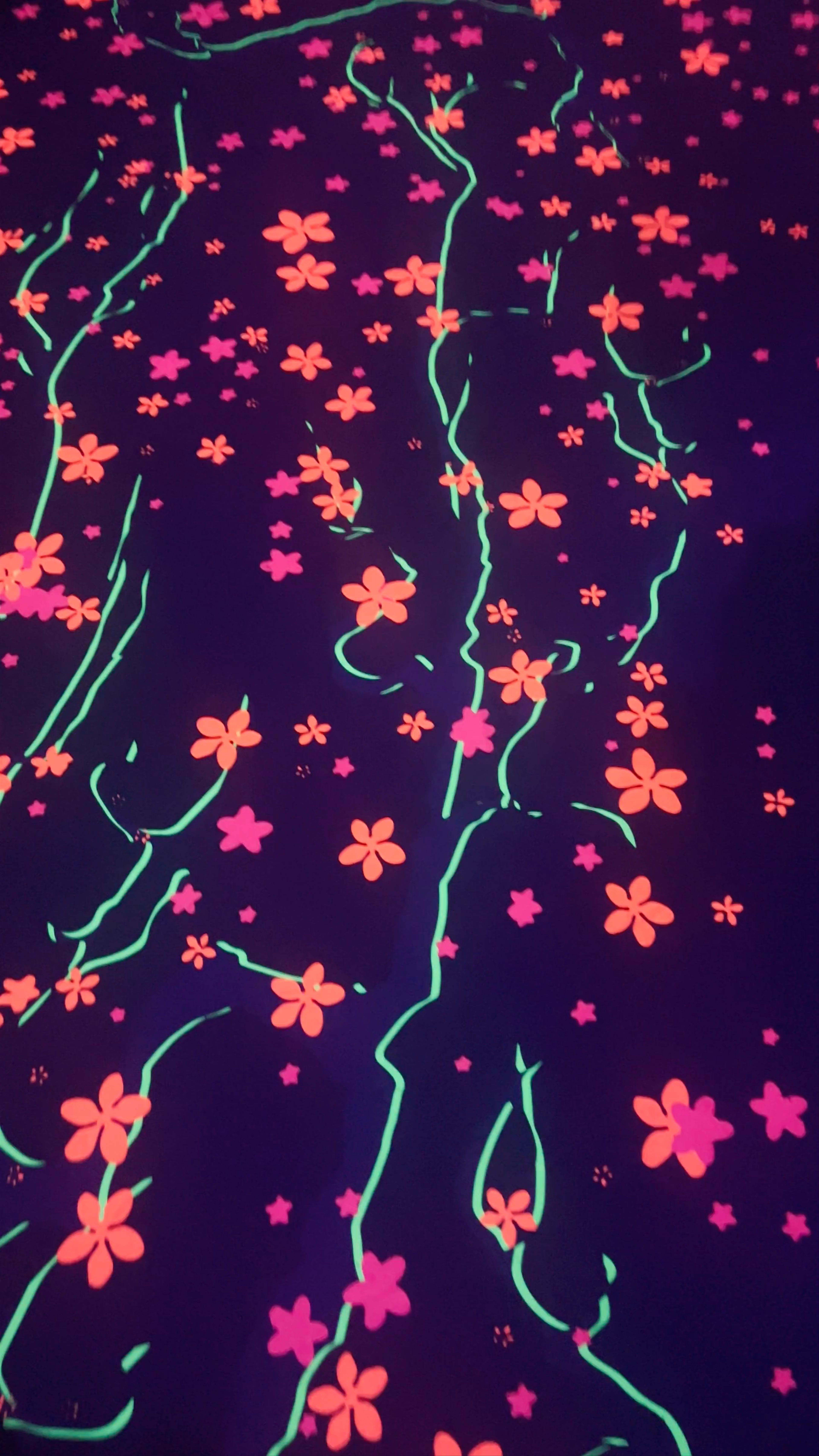 Immersive Vincent van Gogh Floral Digital Experience in Rojales