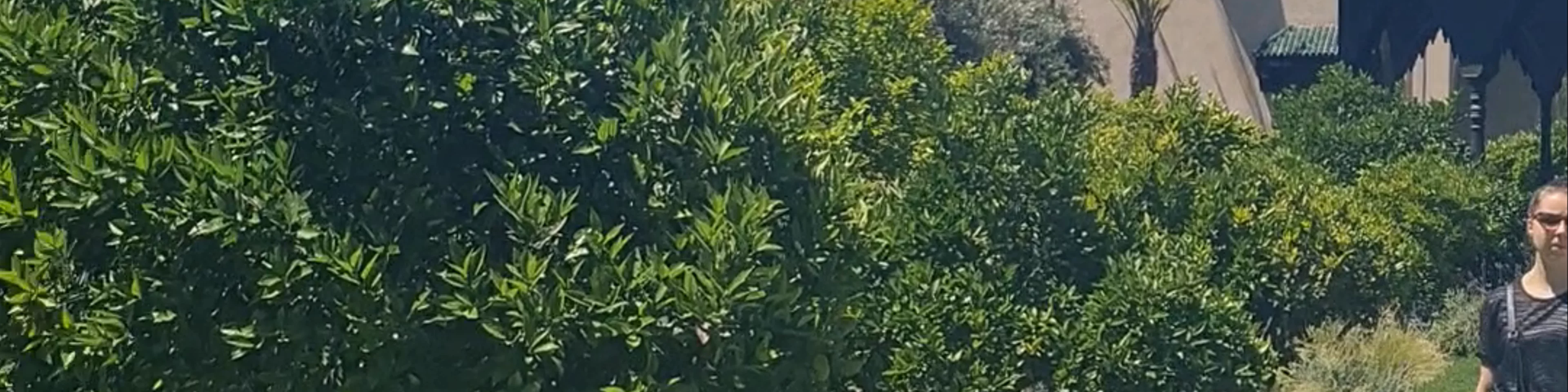 Le Jardin Secret