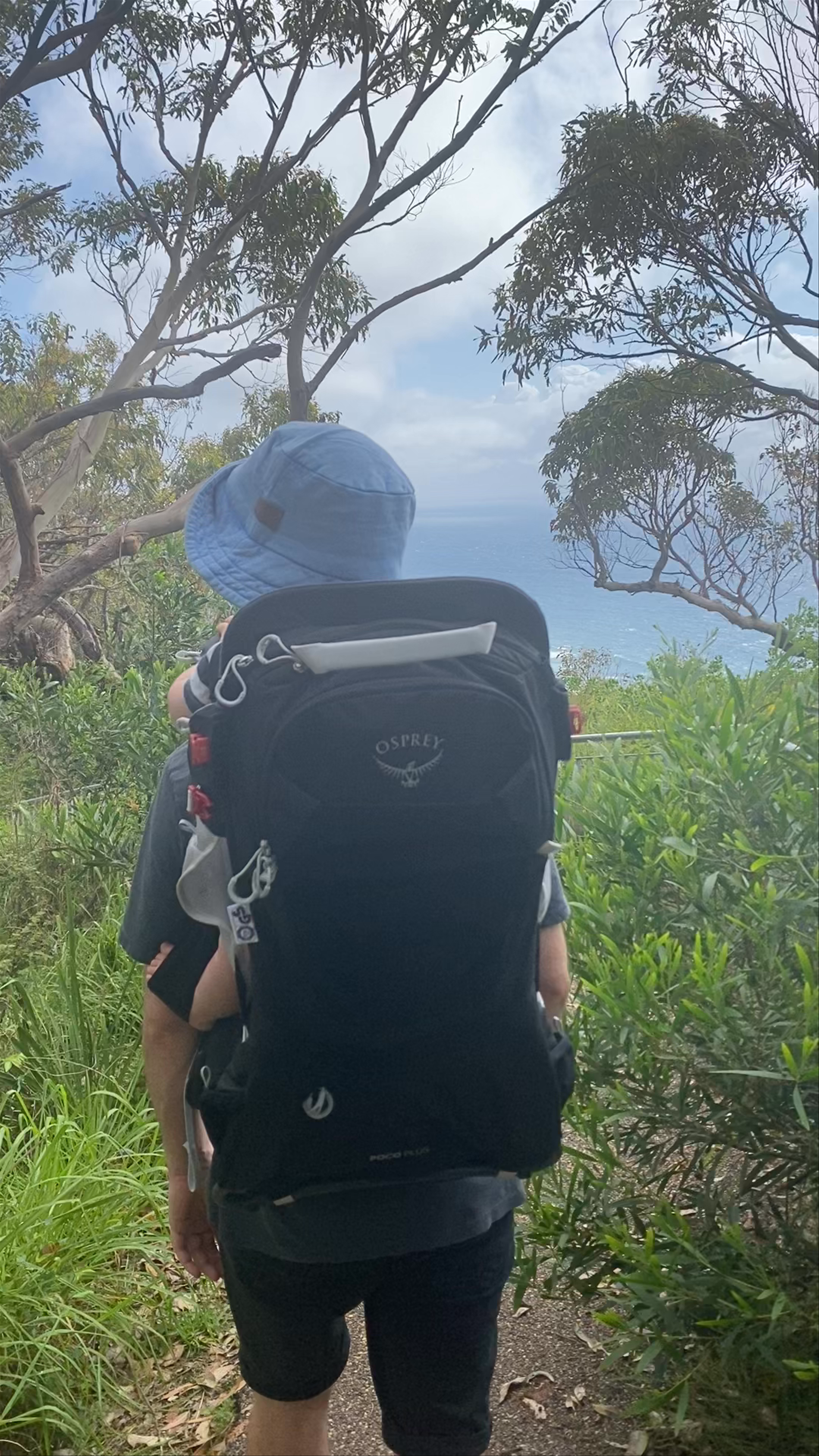 Wyrrabalong Coastal Walk