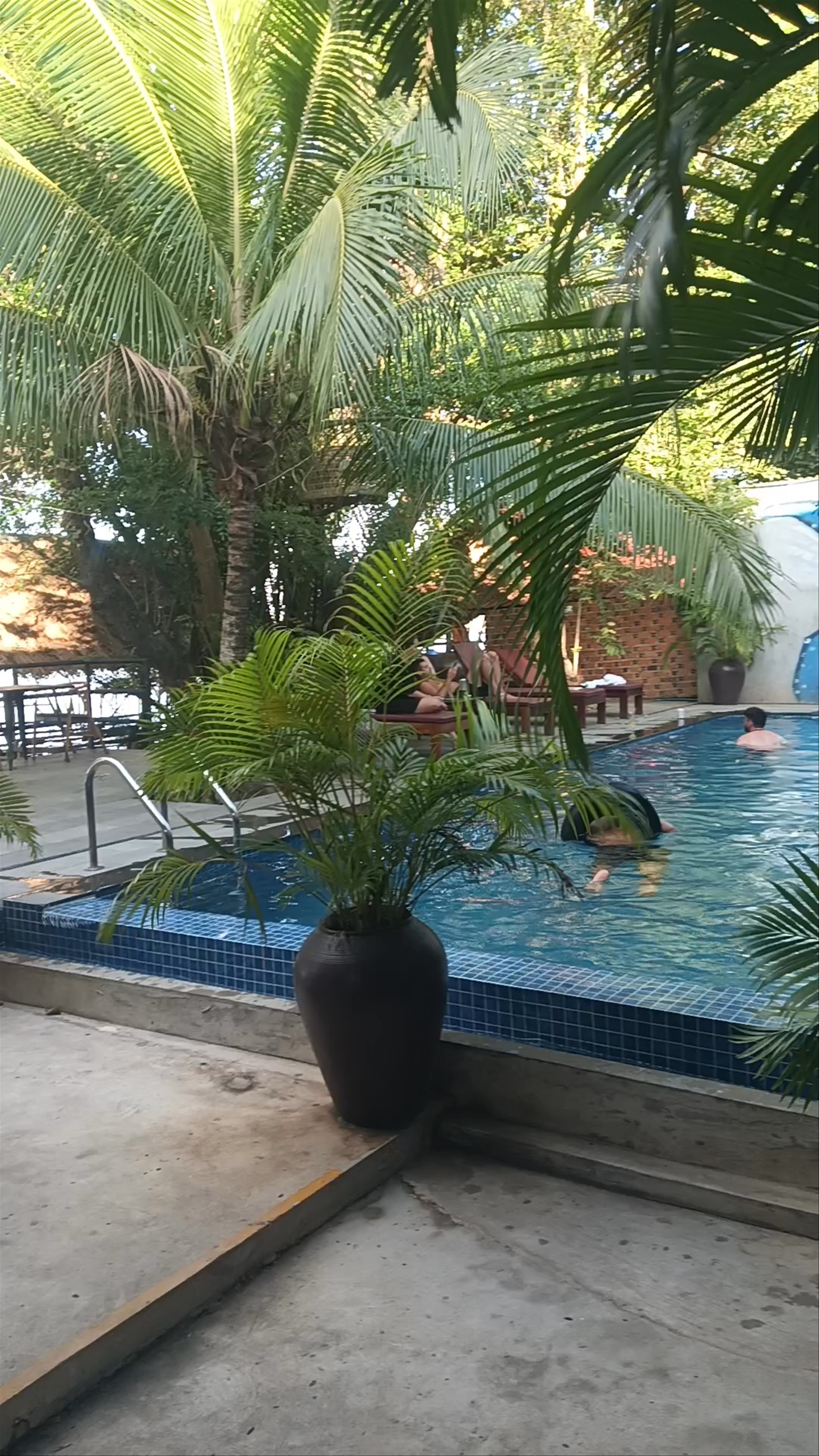 Serene Riverside Chill at River Nest Hostel, Kampot