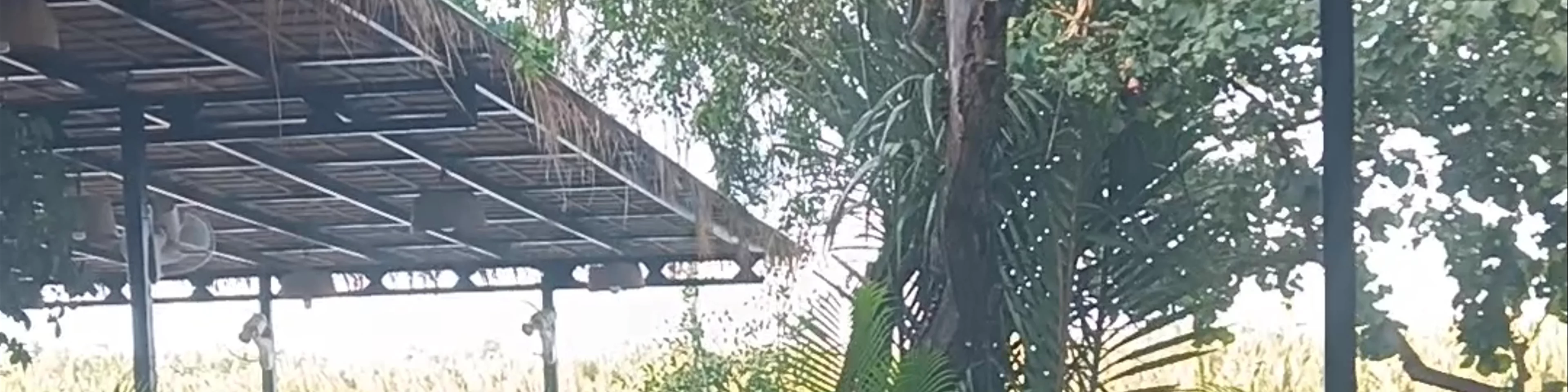 River Nest Hostel