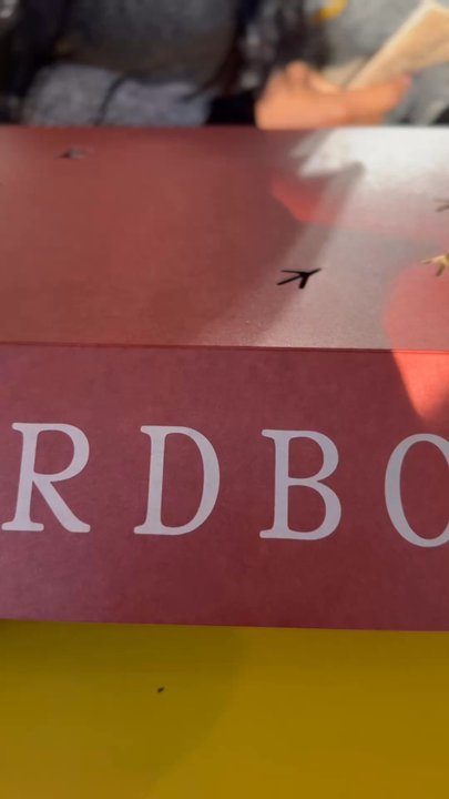 Birdbox - Chicken Shop Near Me - New York, New York