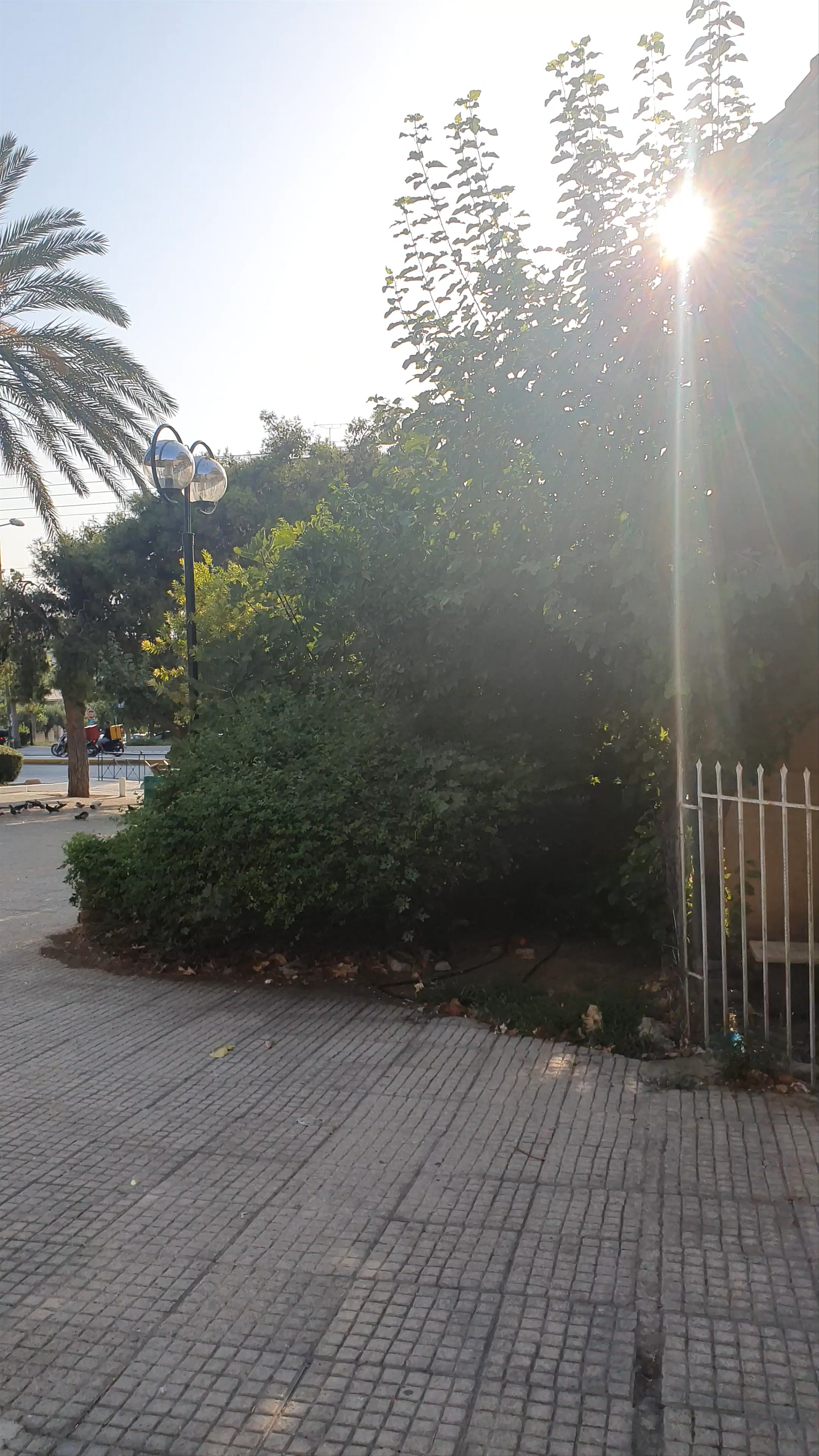 Αγία Παρασκευή Ηλιούπολης: Serene Urban Sanctuary in Ilioupoli, Greece