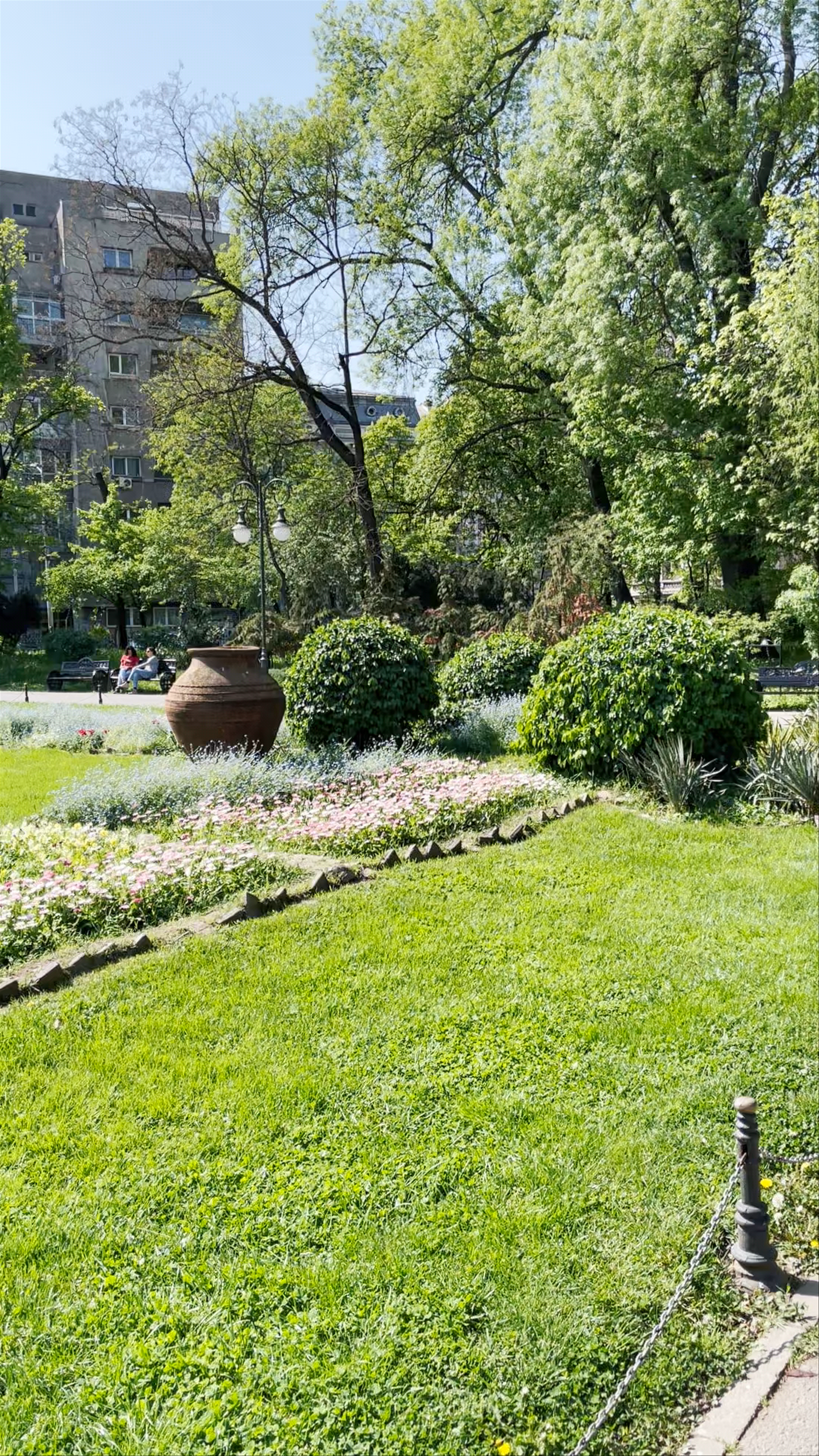 Spring Serenity at Cișmigiu Park, Bucharest