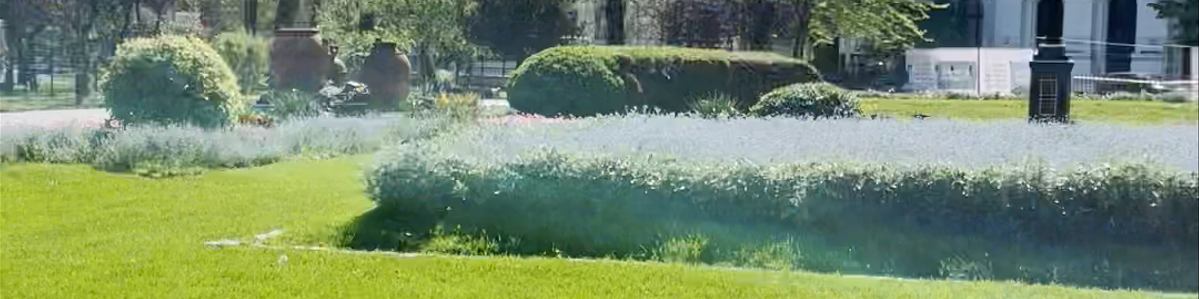 Cișmigiu Park