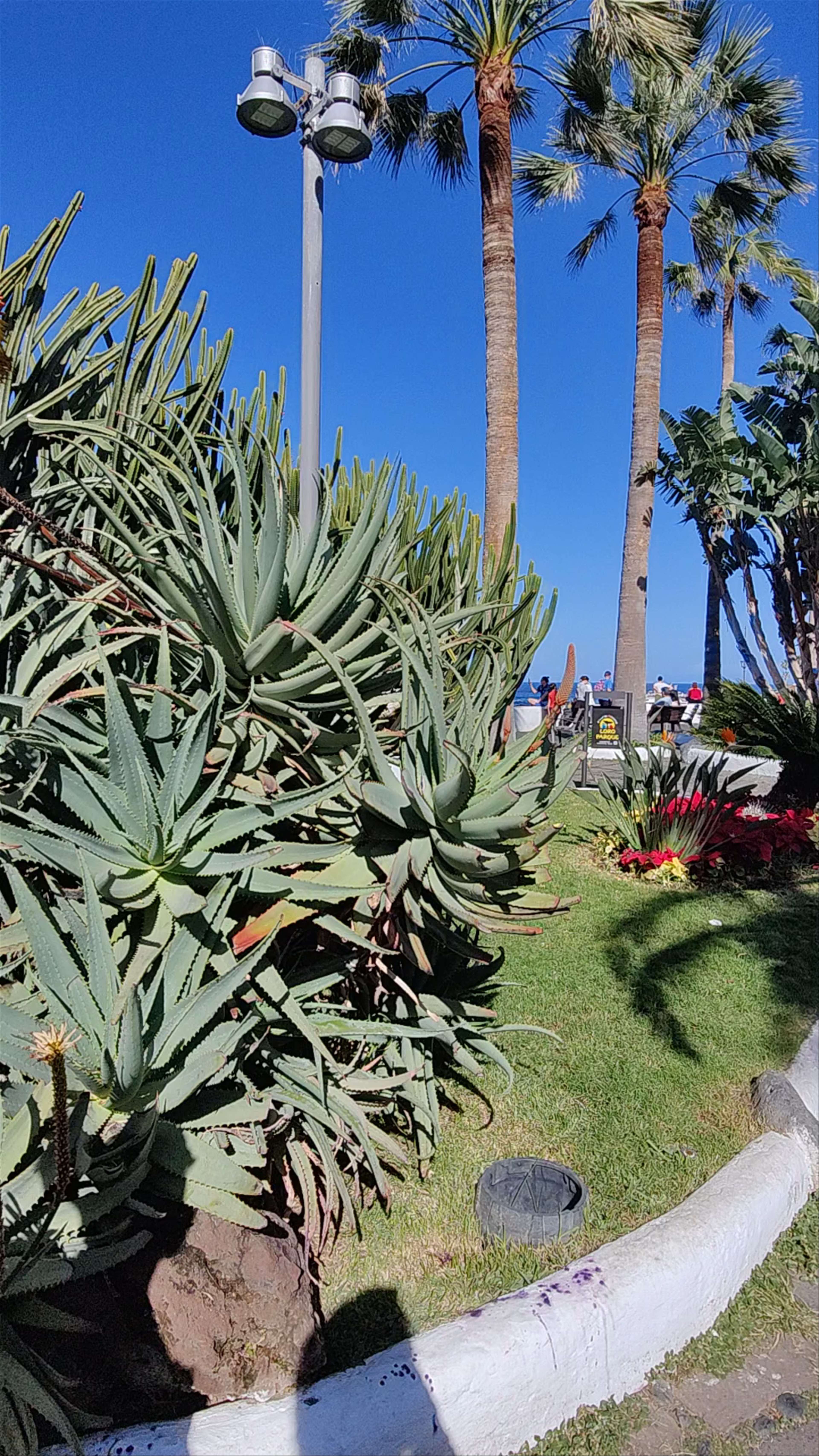 Ermita de San Telmo: Serene Coastal Escape in Puerto de la Cruz