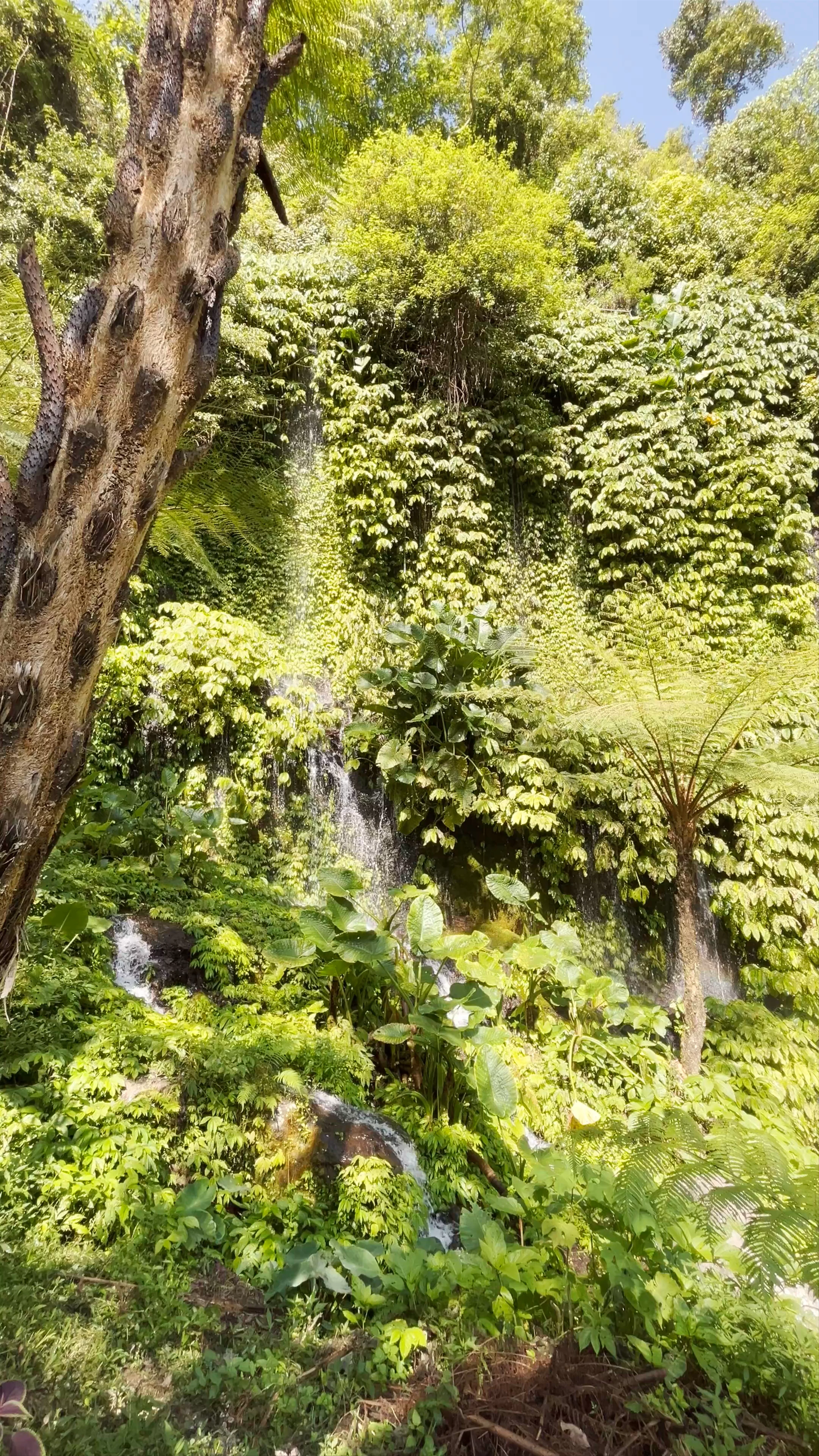 Banyumala Waterfall