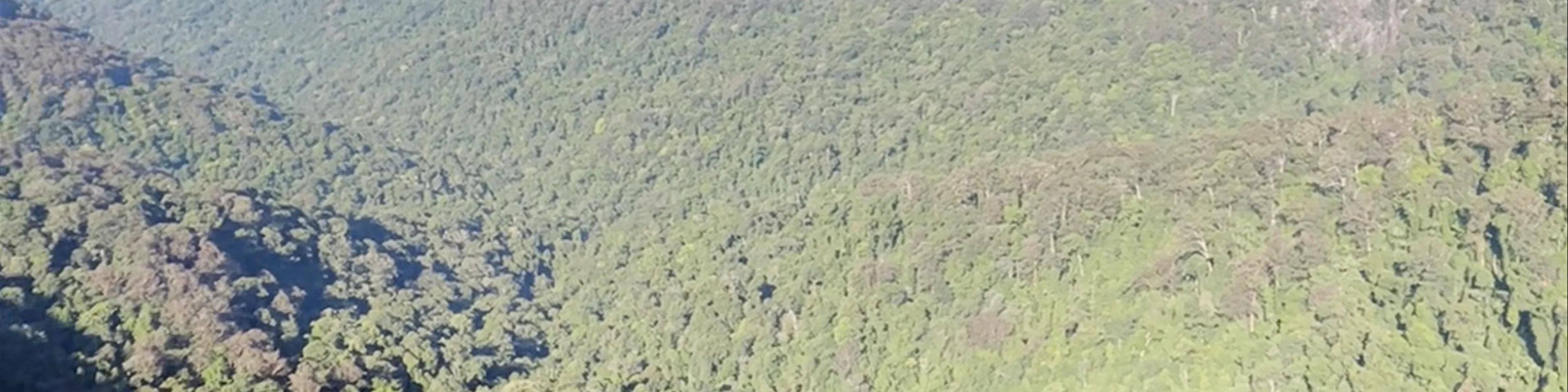 Wunburra Lookout