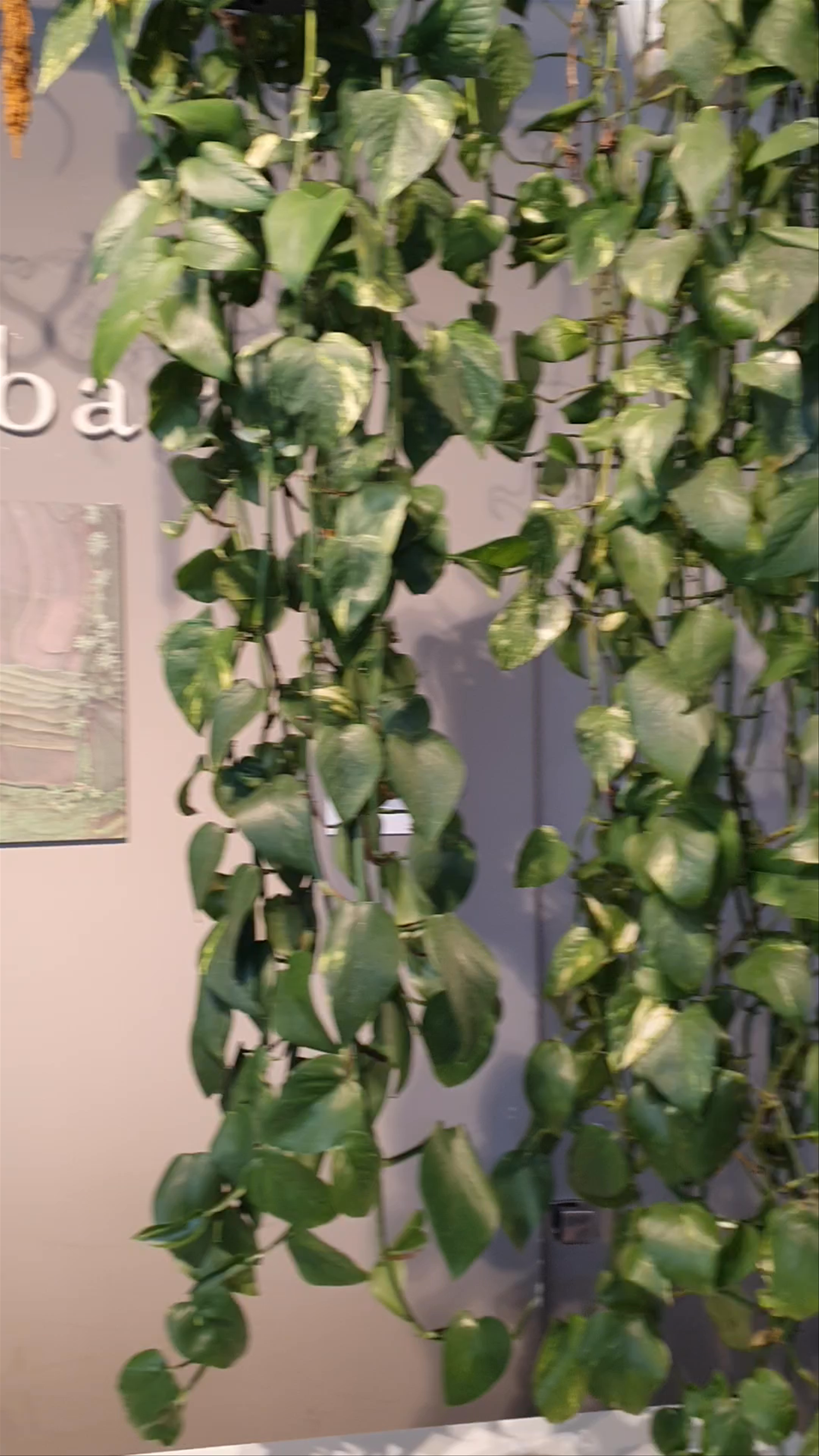 Il Margutta: Green Oasis and Artful Vibes in Rome