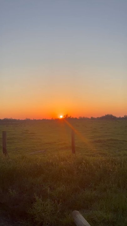 Kaweah Oaks Preserve - Video of the sunset - Hiking Near Me - Exeter, California