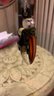 Small image 5