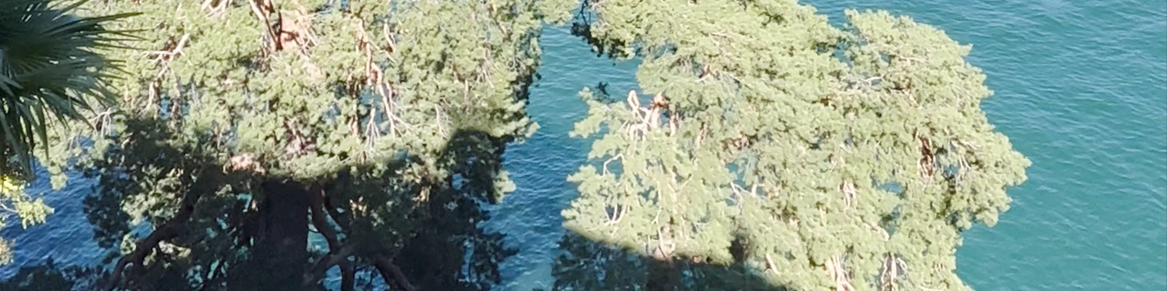 Villa del Balbianello