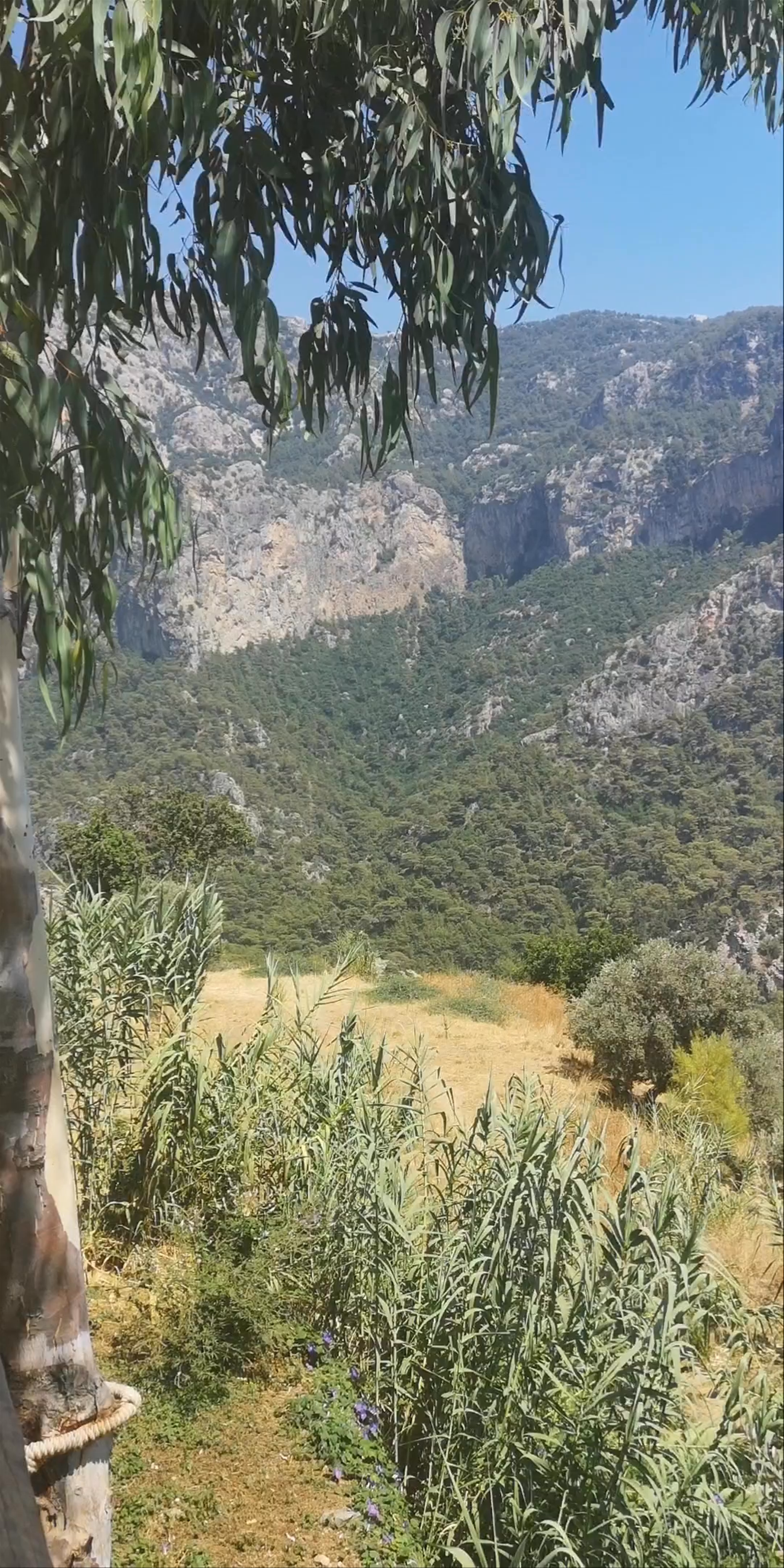 Butterfly Valley: A Hidden Coastal Paradise in Faralya, Türkiye
