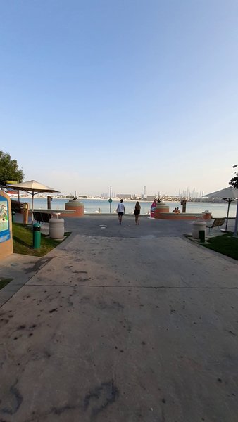 Photo of Beautiful palm beach