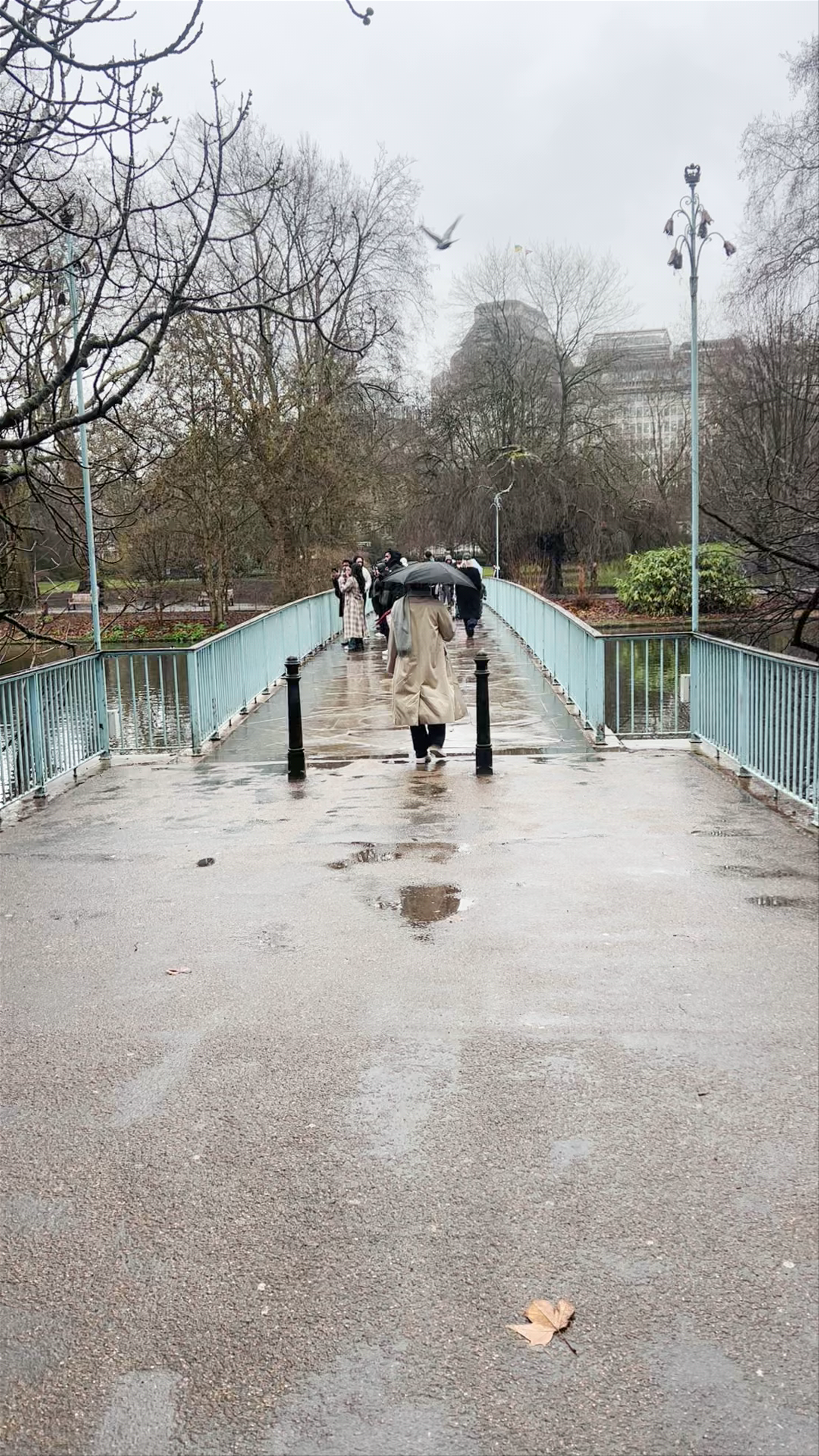 The Diana Princess Of Wales Memorial Walk - A Reflective London Stroll