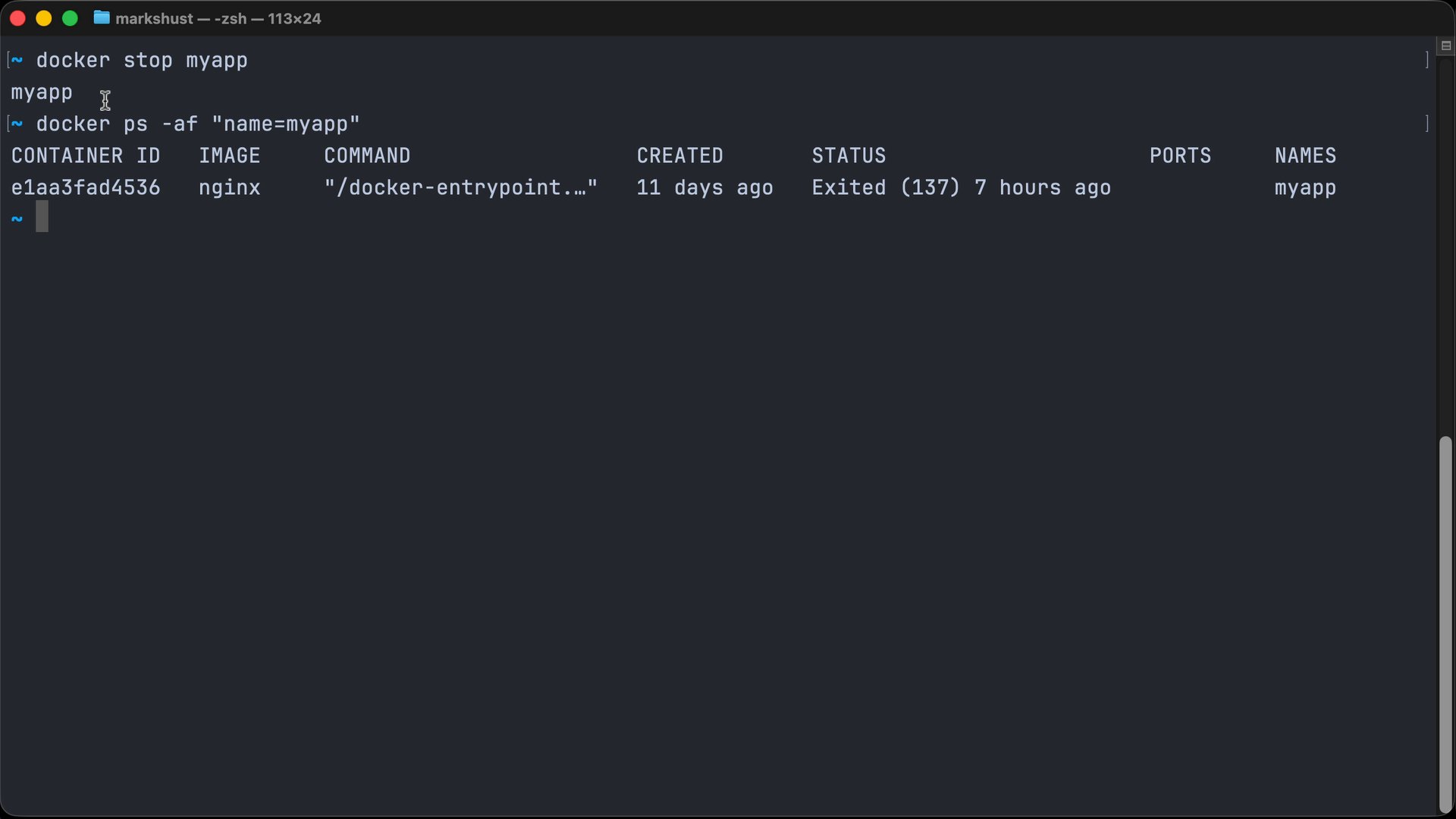Stop a container in Docker