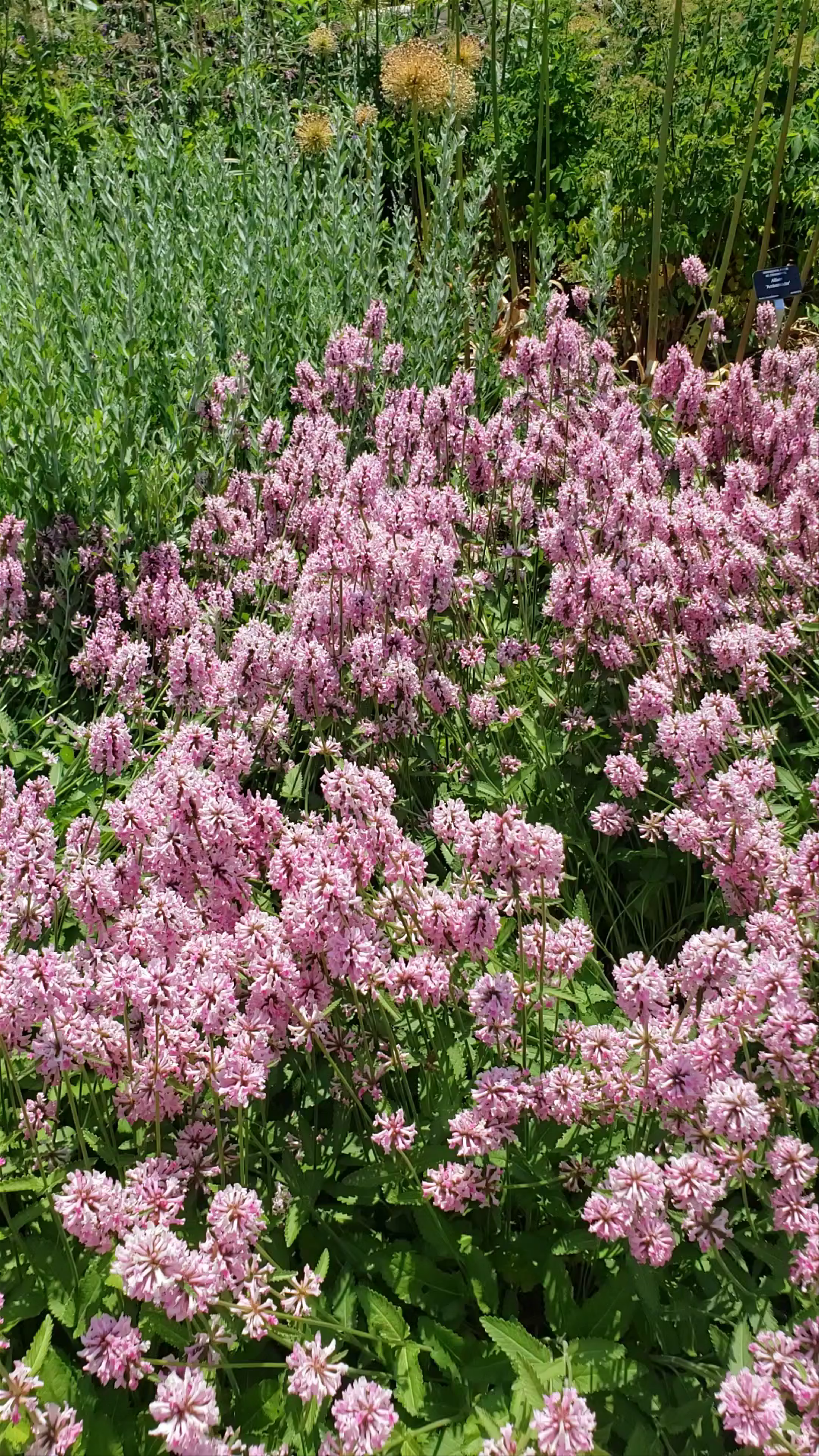 Royal Botanical Gardens