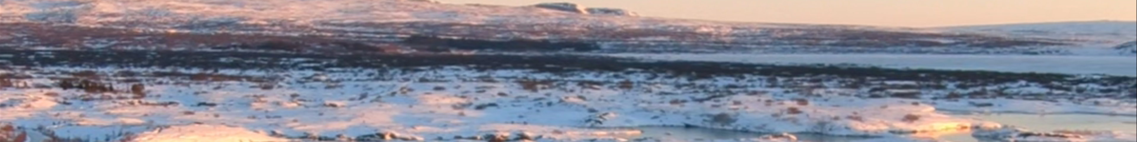 Tours & experiences in Hveragerði