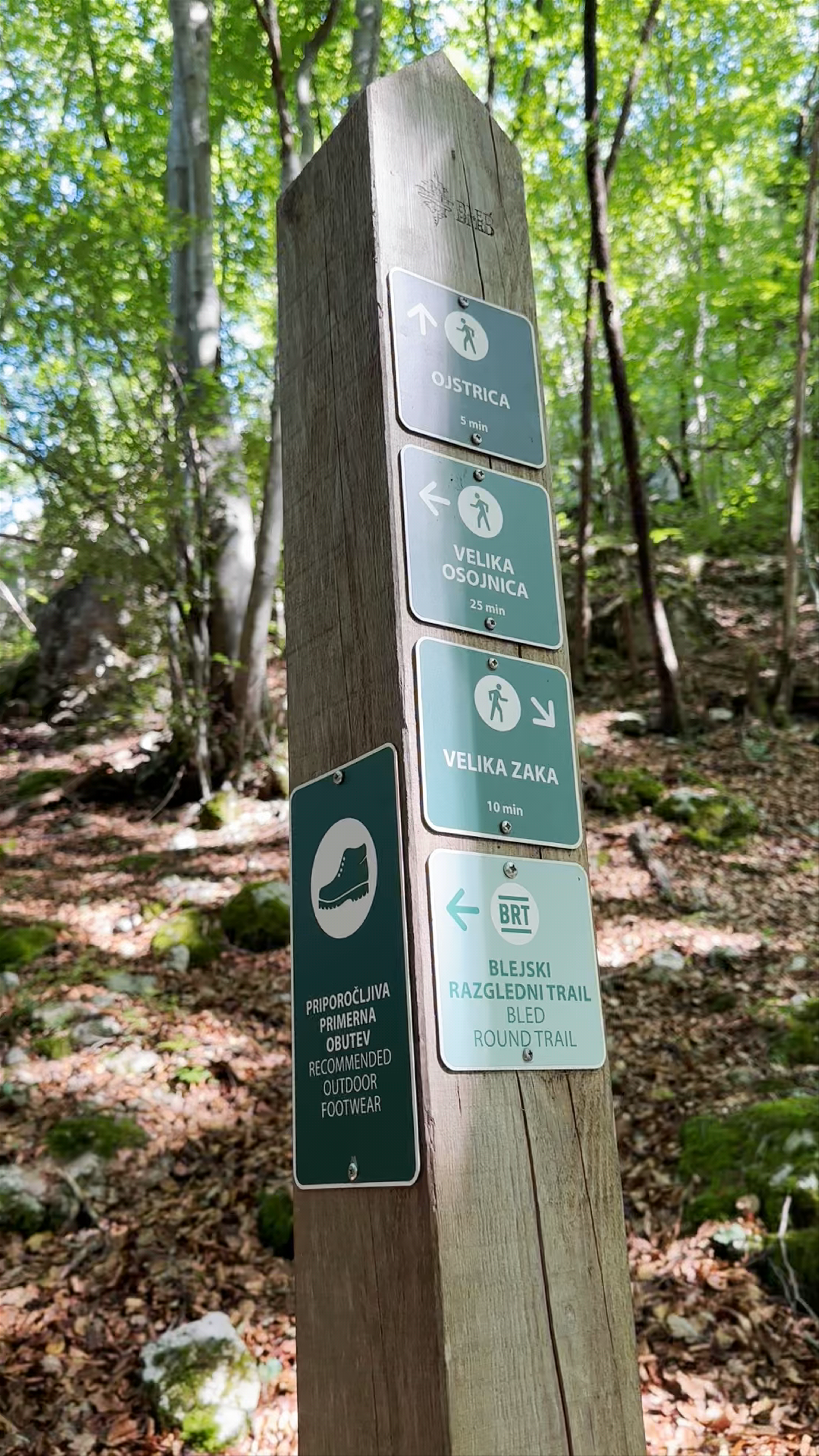 Ojstrica Trailhead