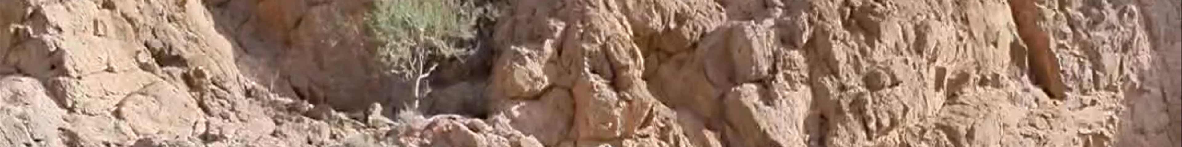 Tours & experiences in Qurayyāt