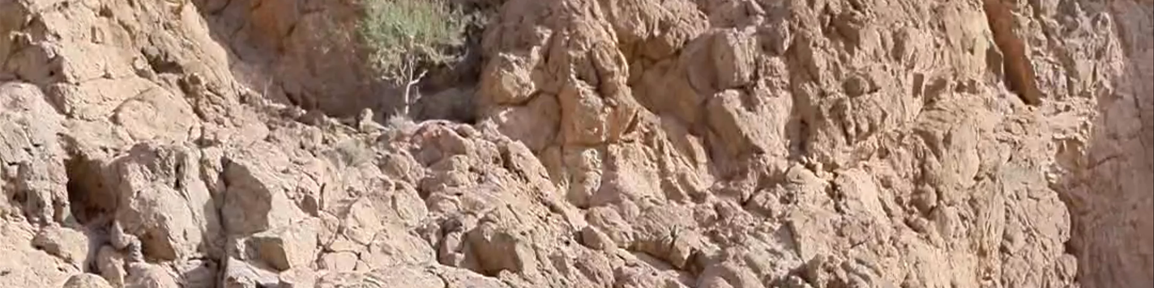 Wadi Dhaiqah