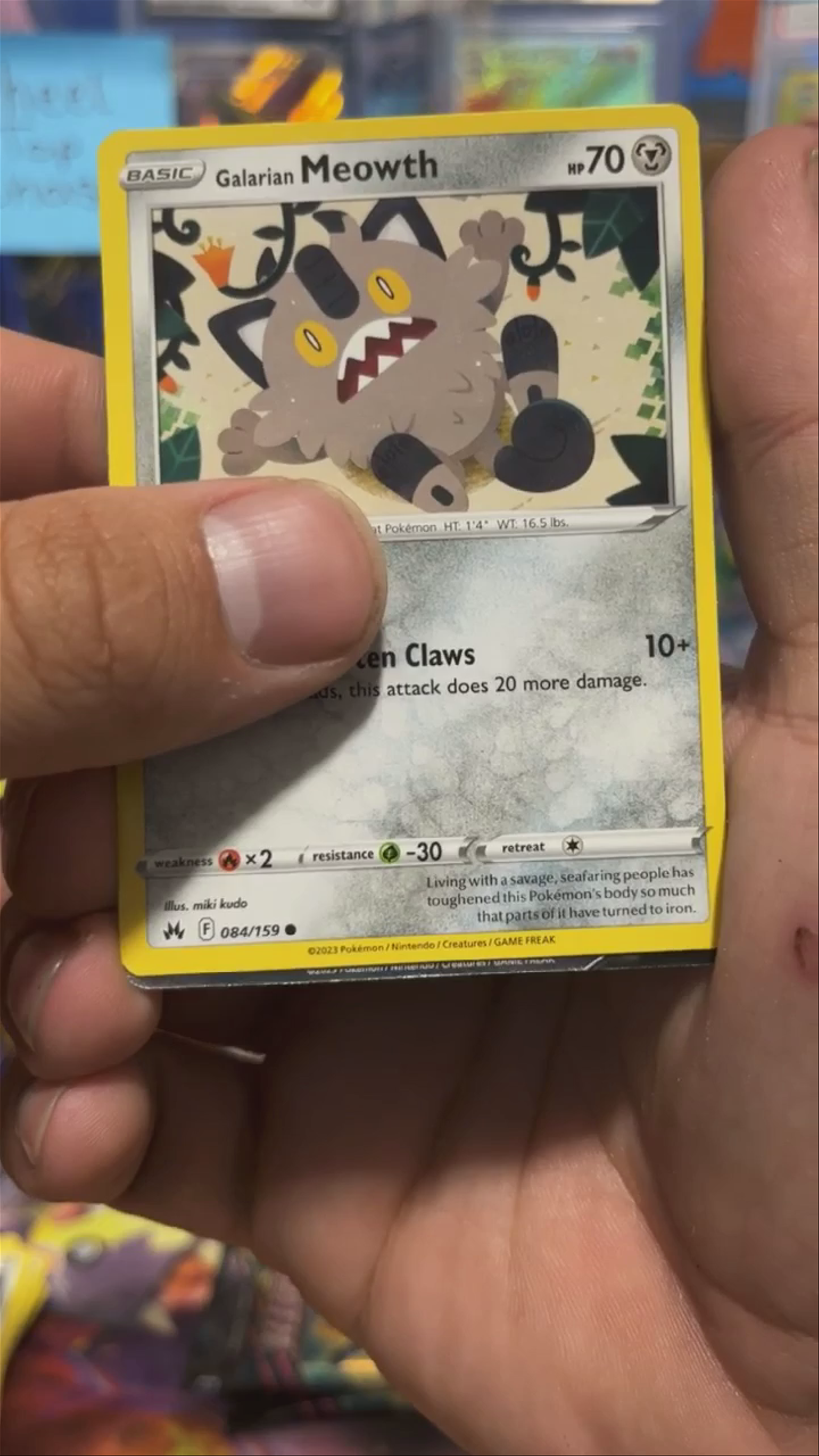 Double banger Crown Zenith 