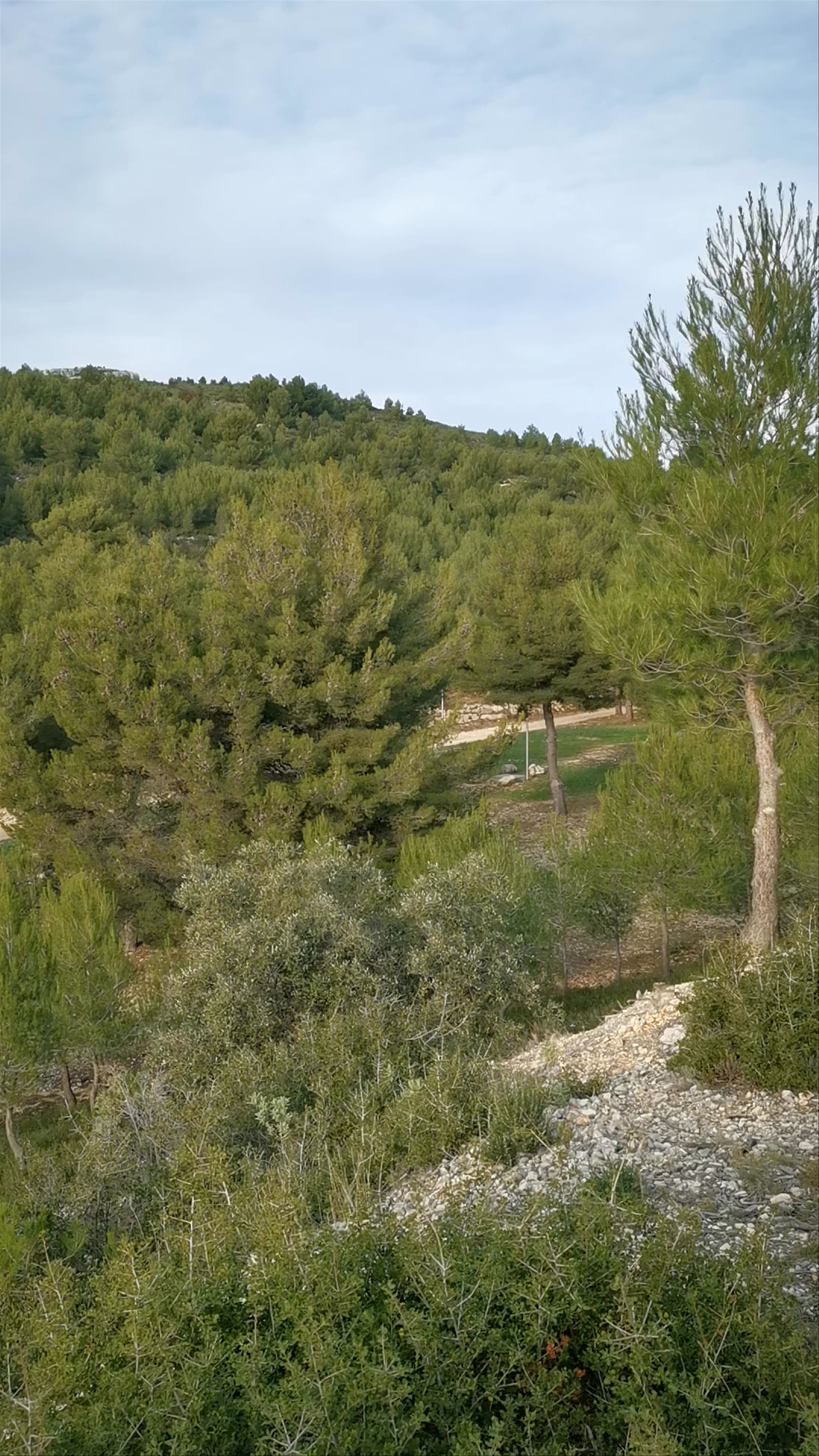 Nature Escape at Parc de la Nègre, Marseille