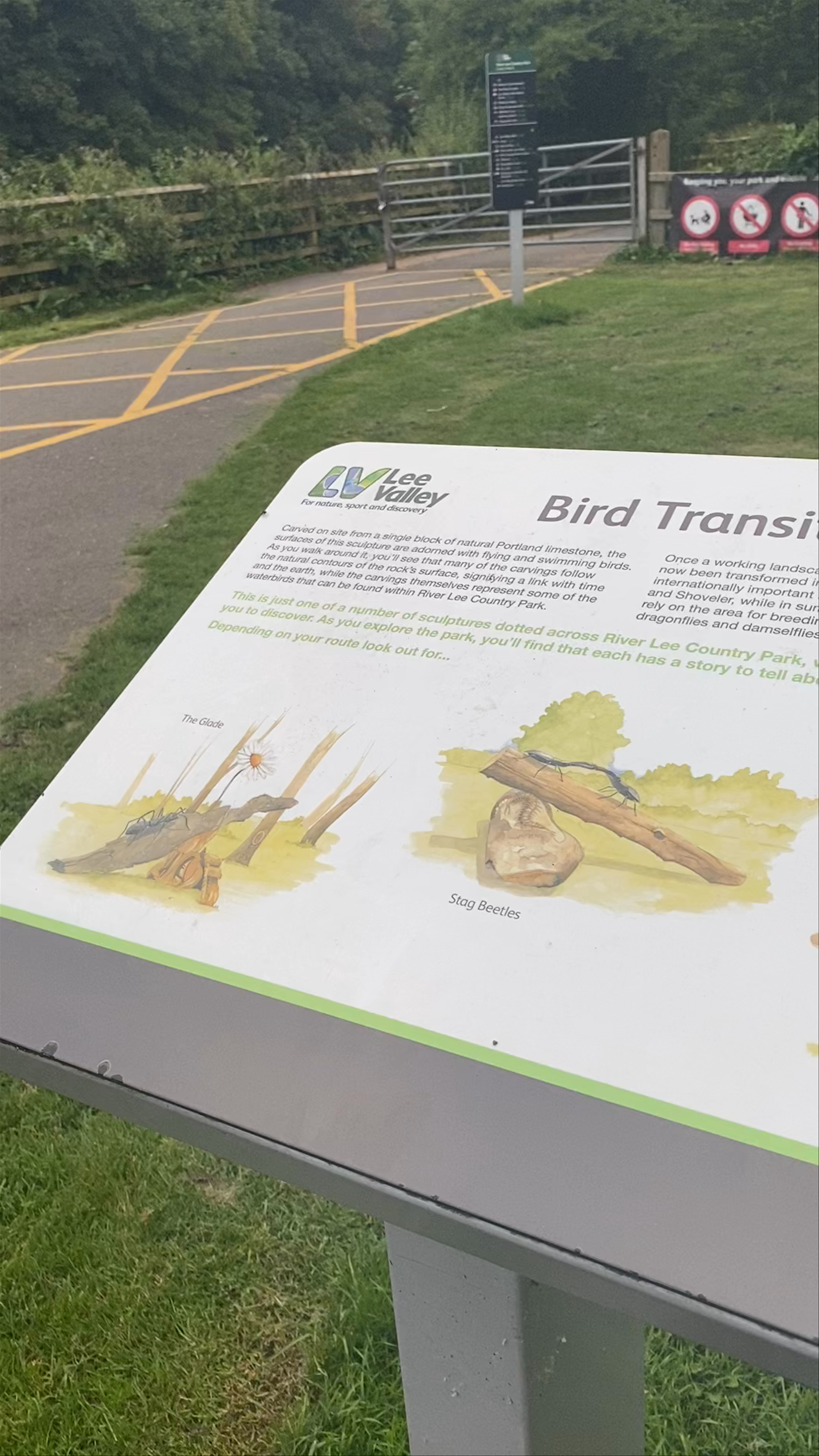 Explore the Natural Sculptures and Wildlife at River Lee Country Park