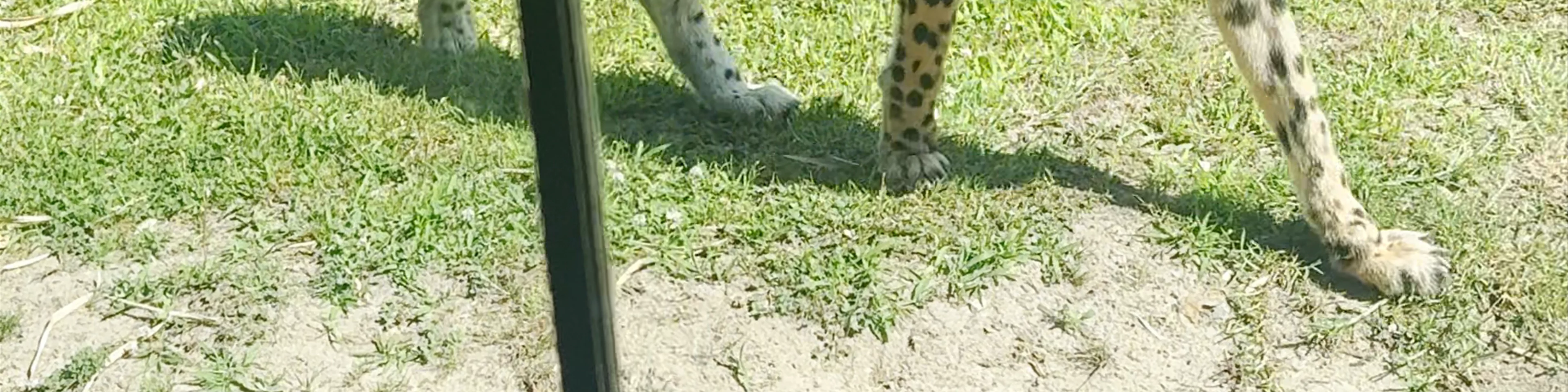 Symbio Wildlife Park