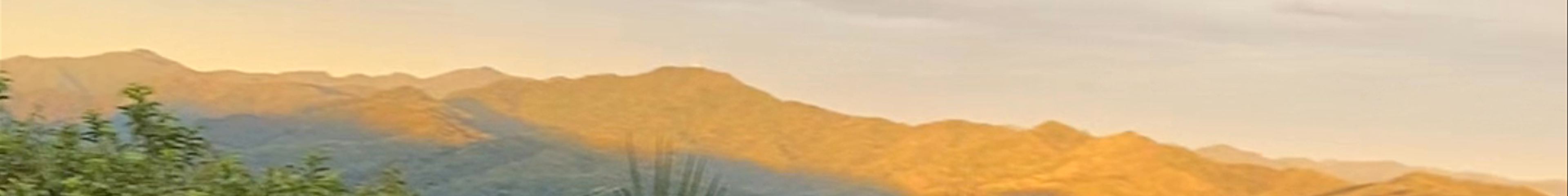 Tours & experiences in Nicoya