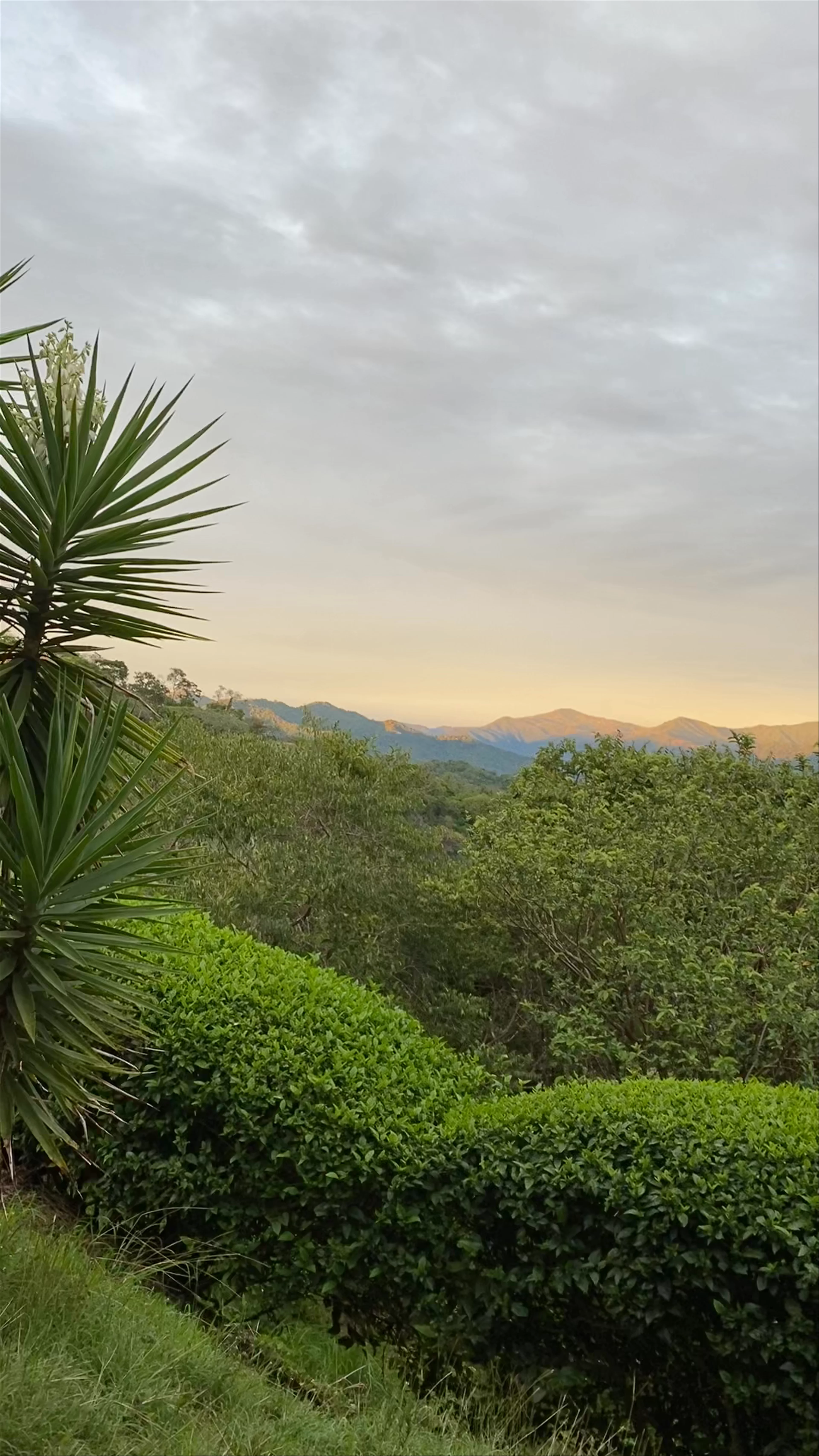 Nicoya Peninsula