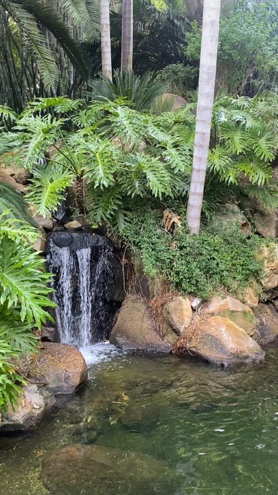 The Grand Tradition Gardens - Botanical Gardens Near Me - Fallbrook, California