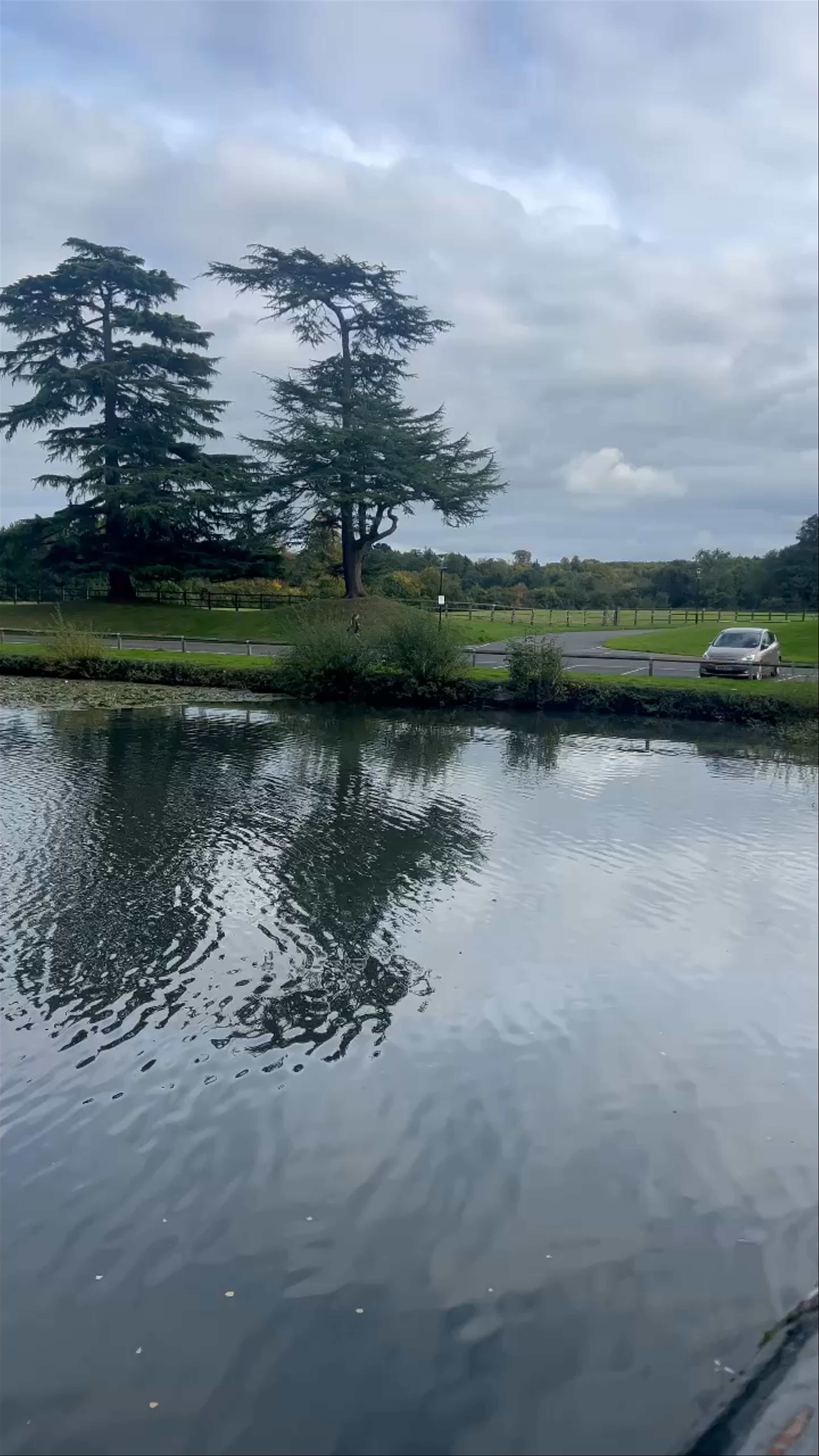 Serene Lakeside Escape at Horsley Towers, England