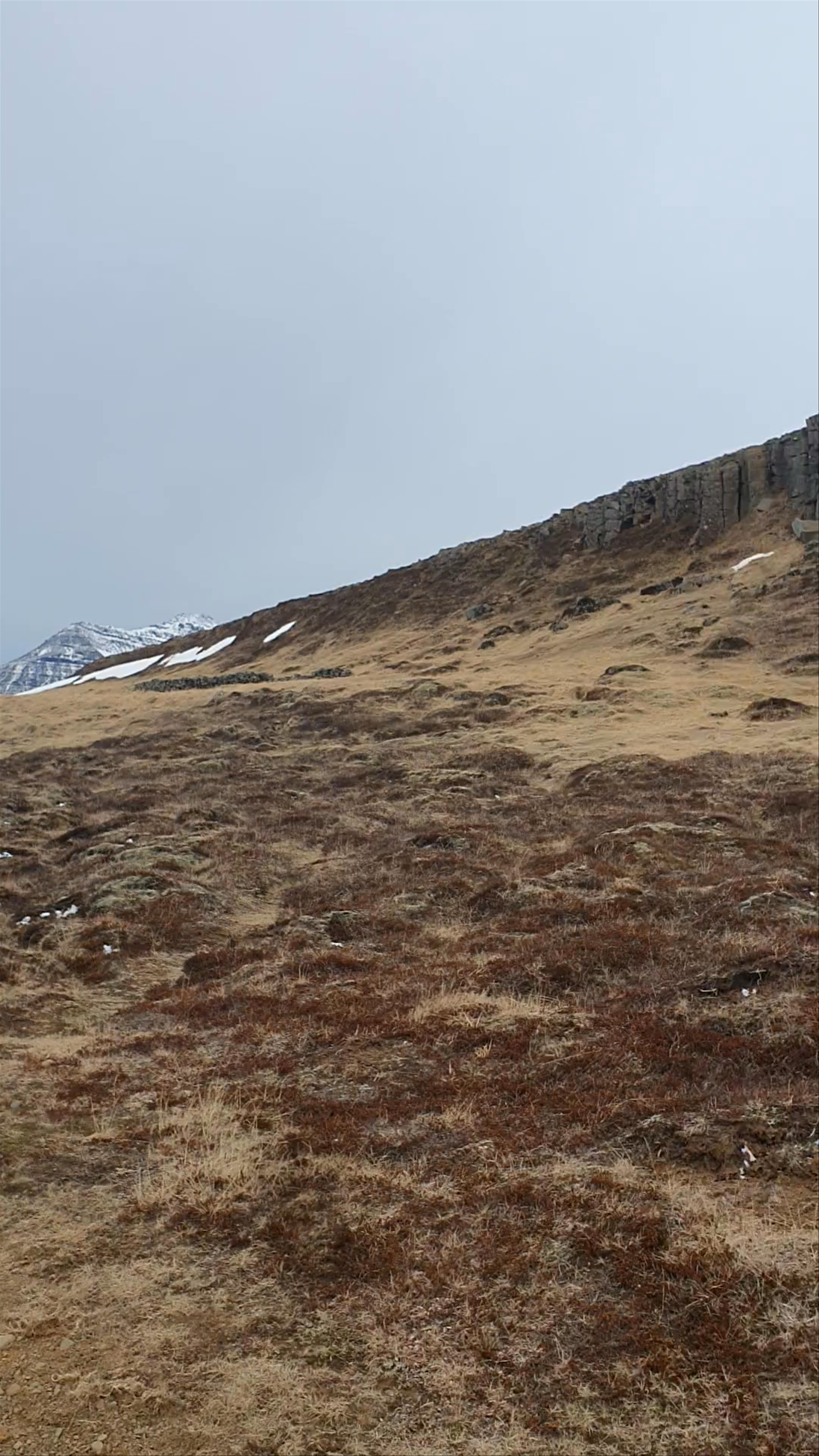 Gerðuberg Cliffs