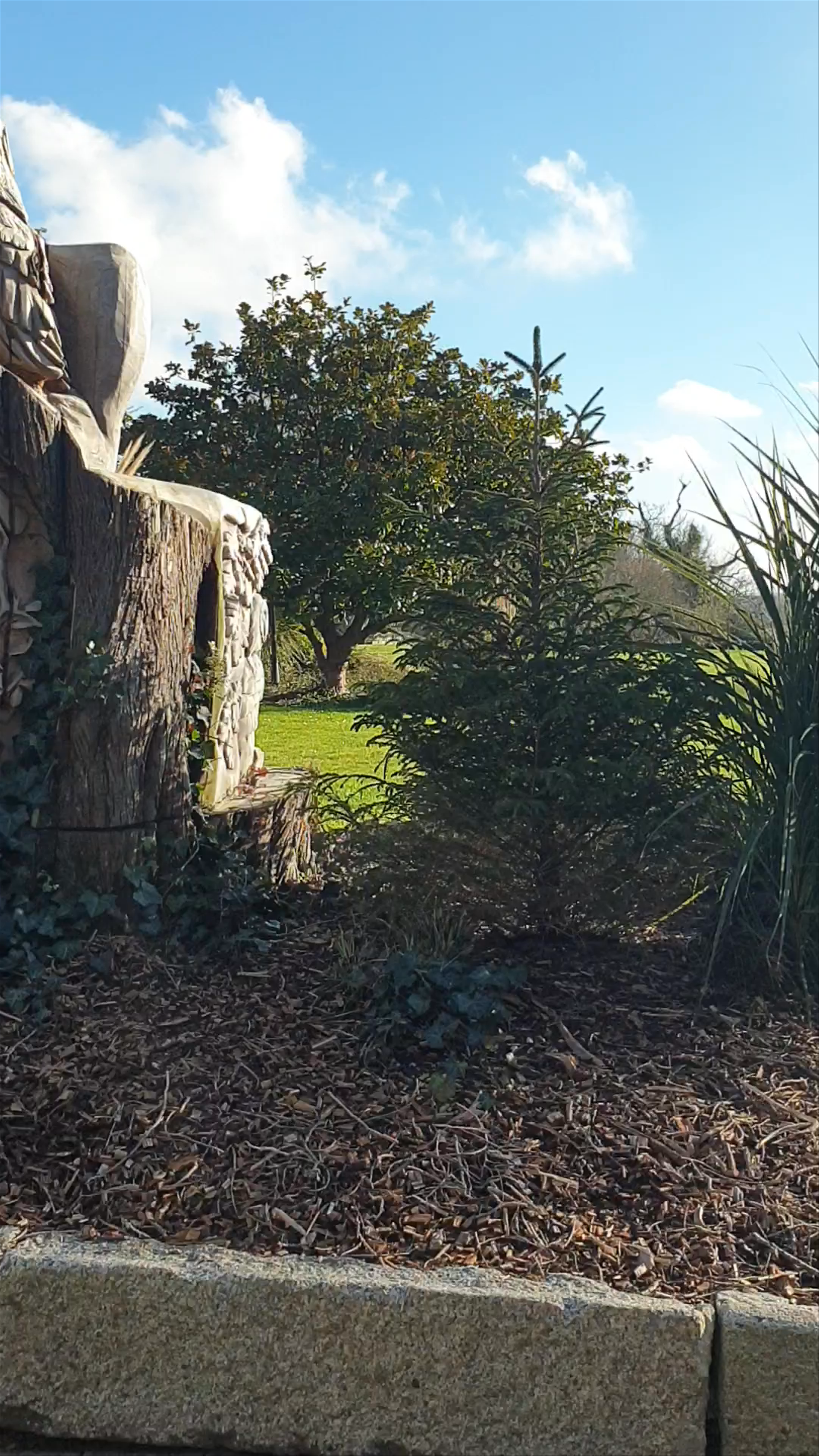 Boringdon Hall Hotel