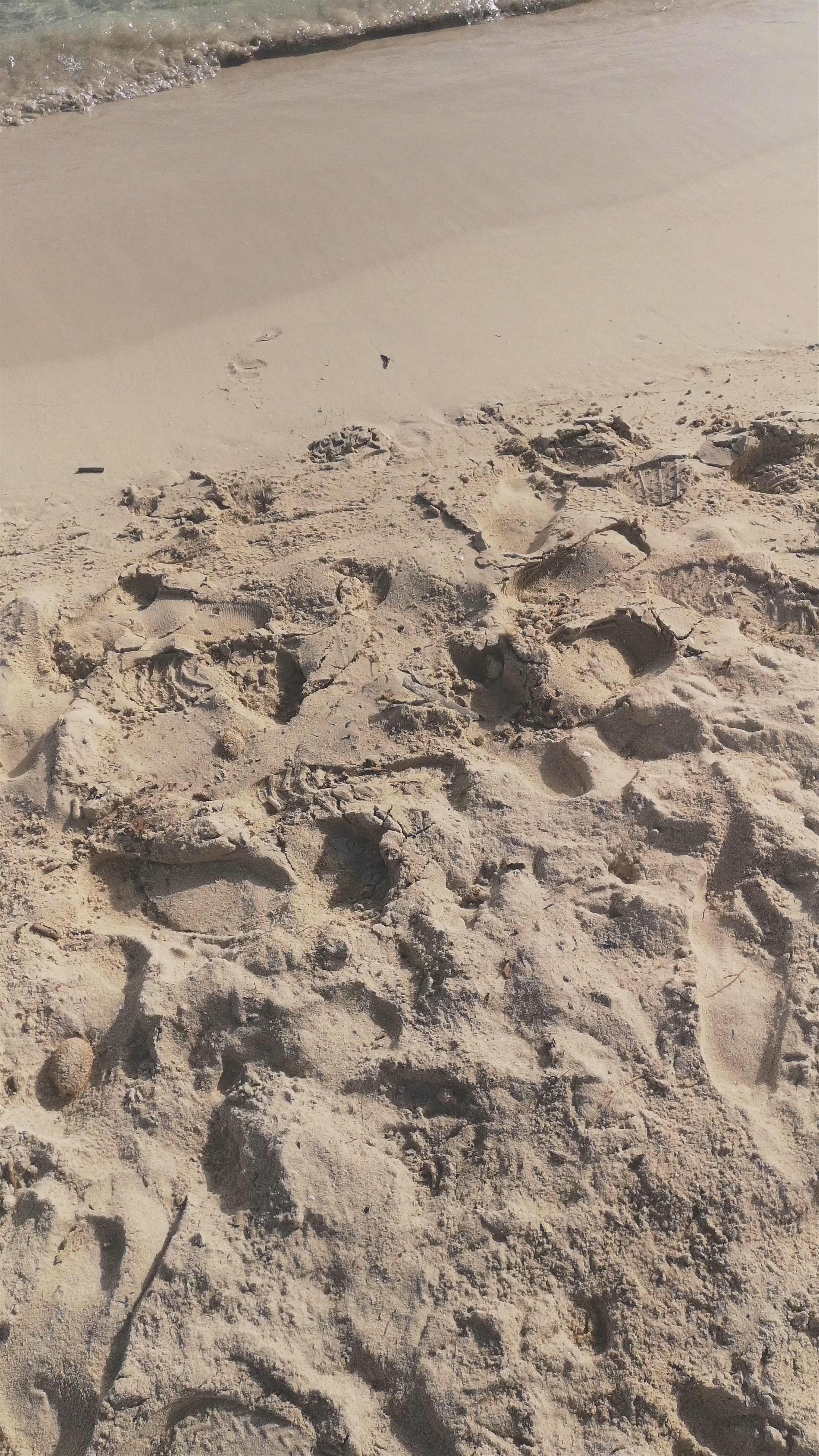 Playa S'Amarador