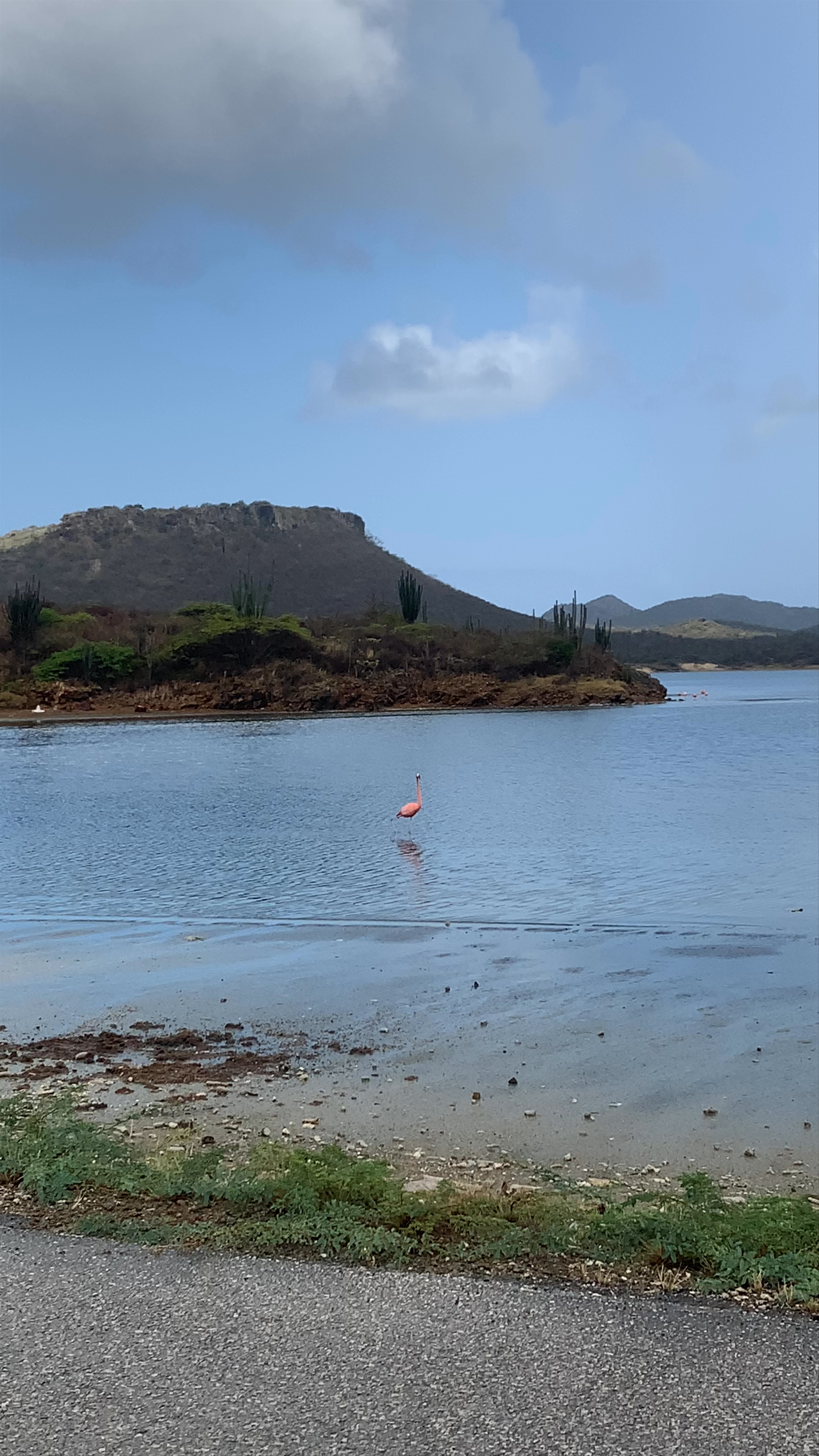 Salt Lake (Flamingo's)