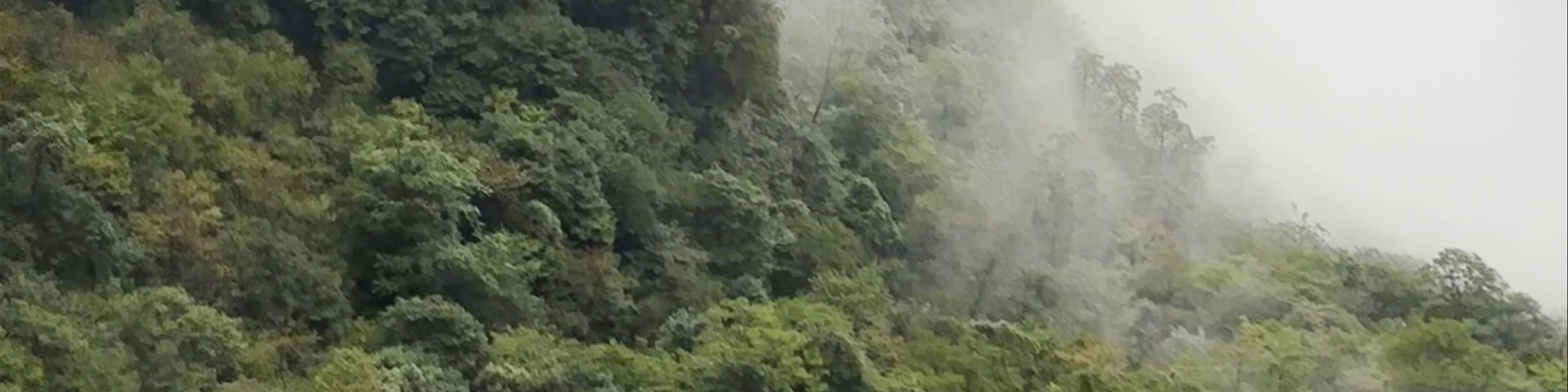 Tianmen Mountain National Park