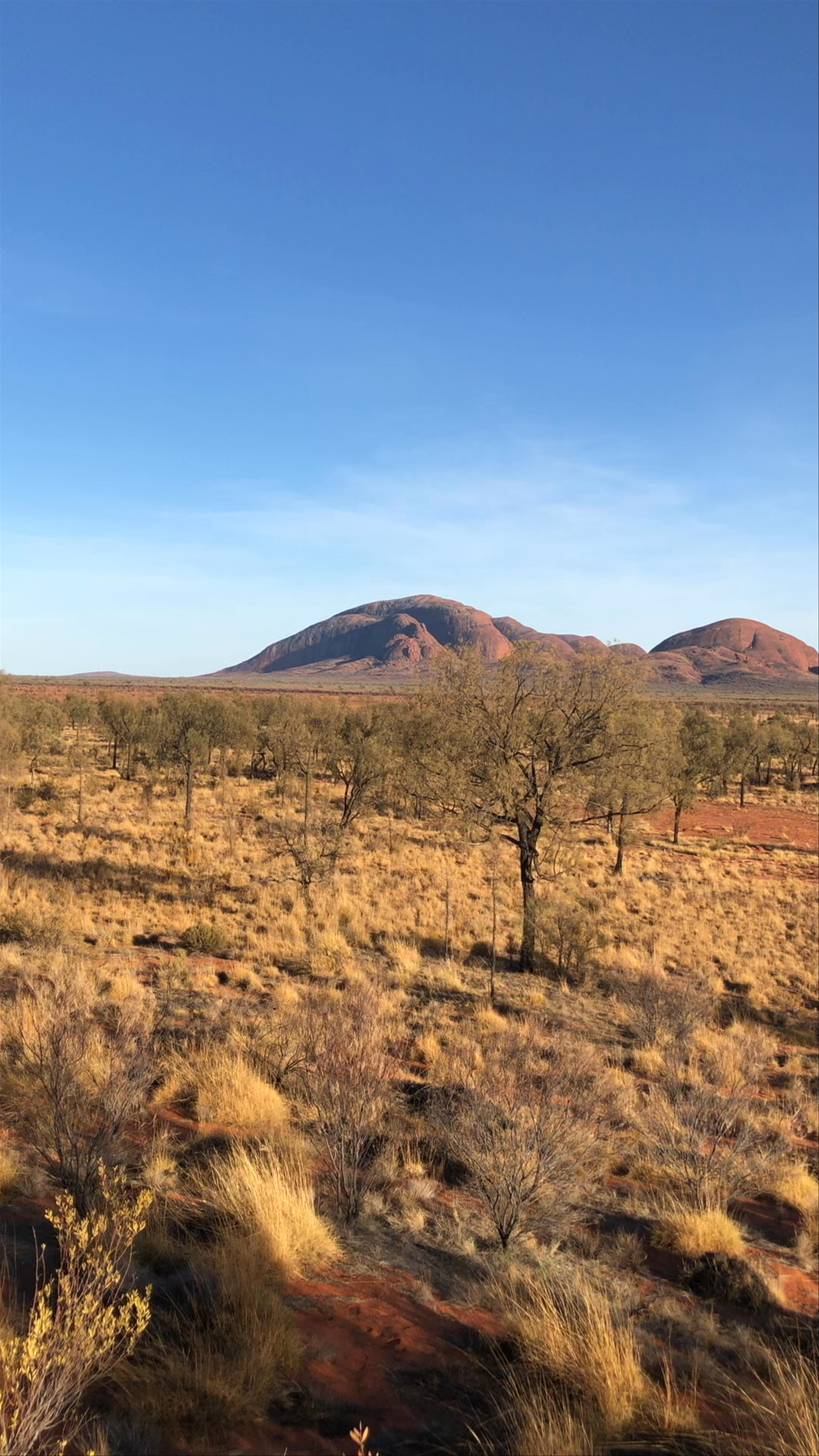 Kata-Tjuta Dunes Viewing Area