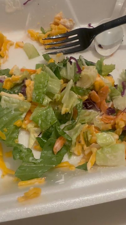 OC Burgers - Chicken grilled salad with unexpected bug - Burgers Near Me - Haltom City, Texas
